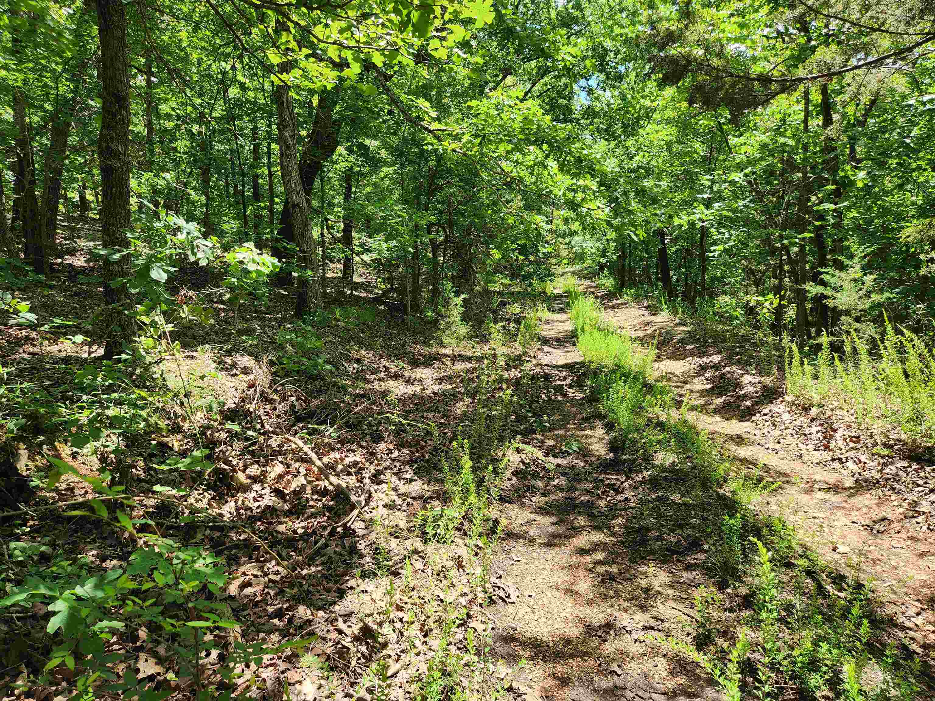 Vacant Land for sale – L-14, B-4  Piute   Highland, AR