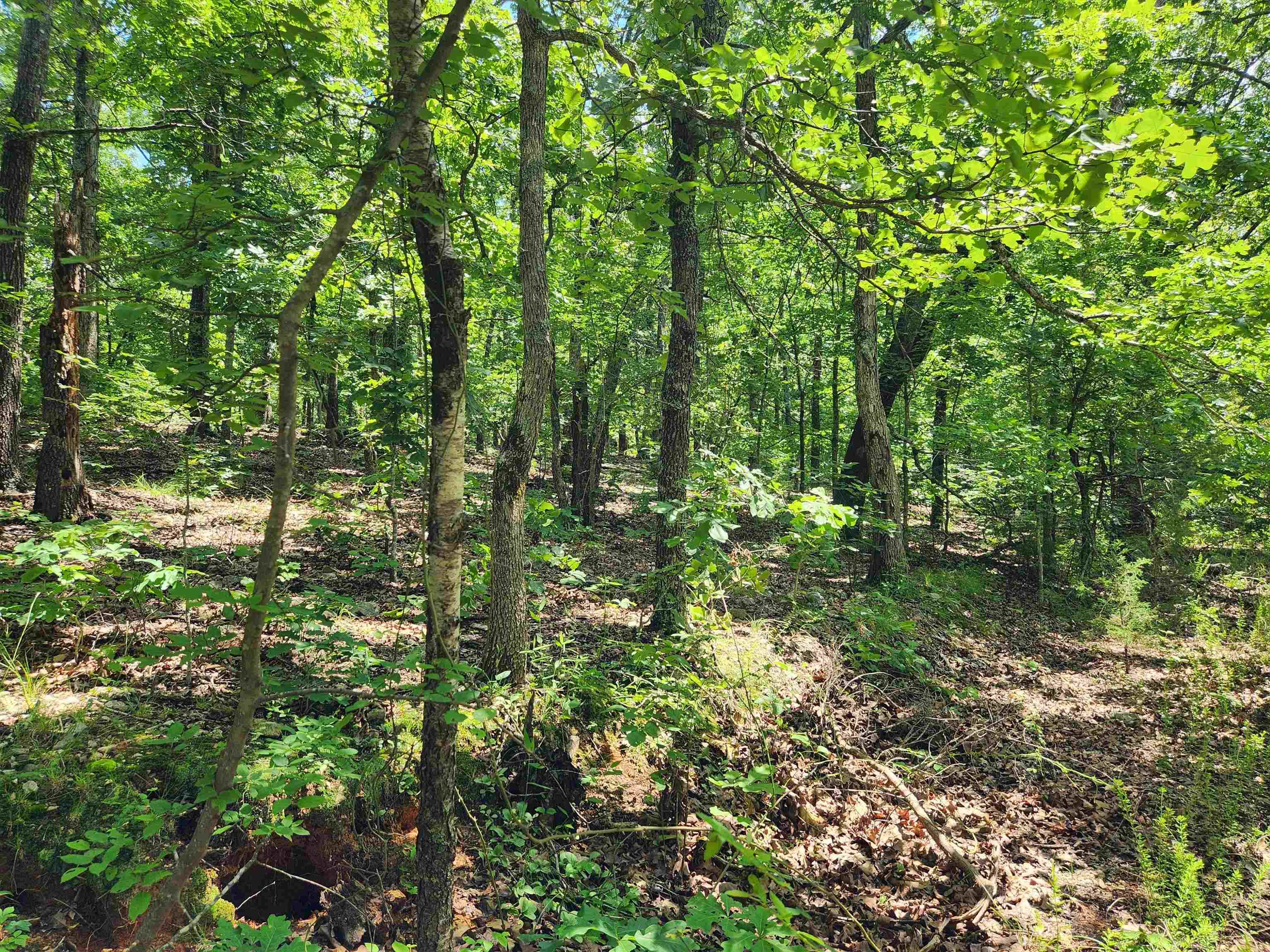 Photo 2 - Vacant Land for sale – L-14, B-4  Piute   Highland, AR