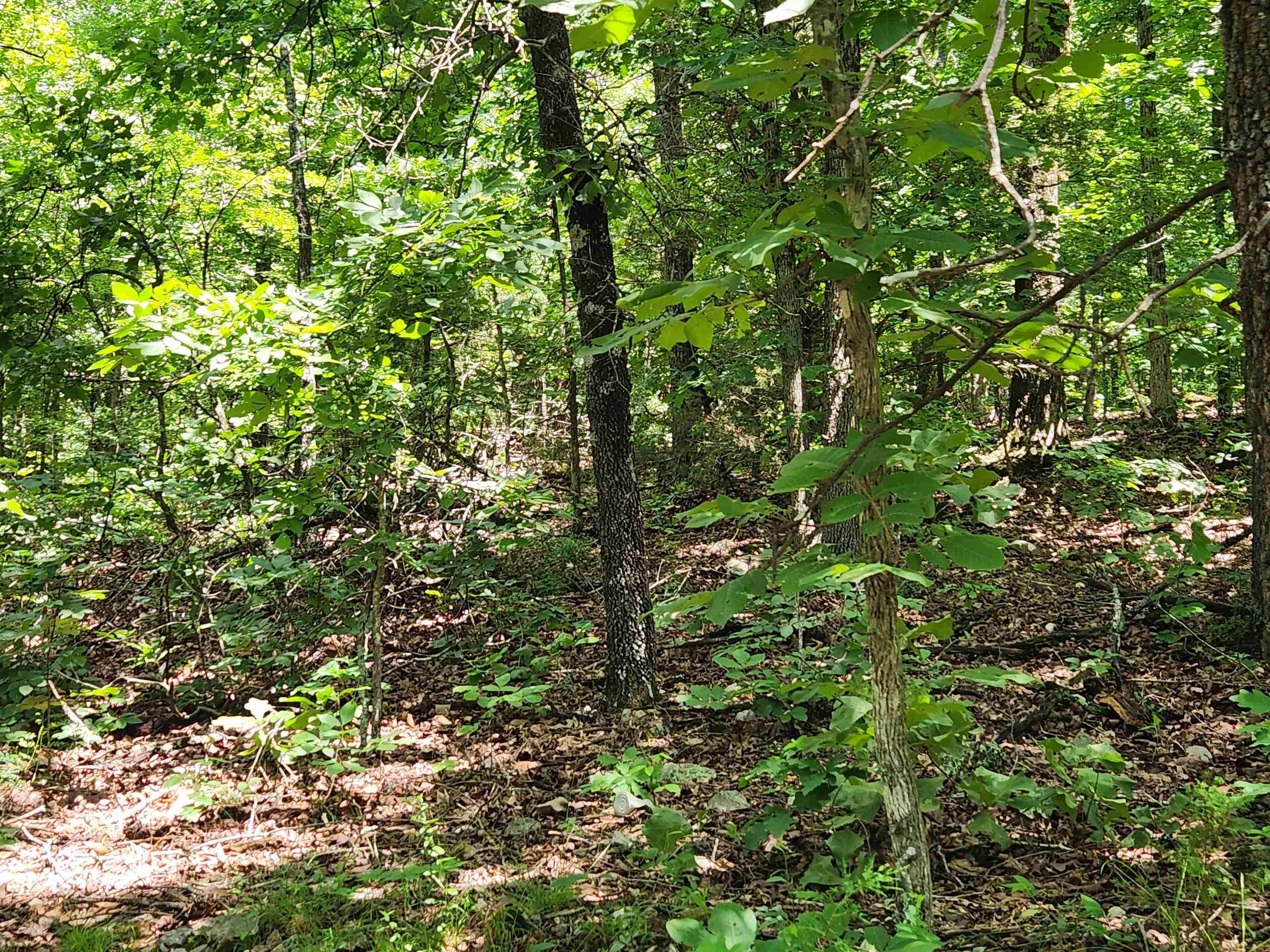 Photo 12 - Vacant Land for sale – L-14, B-4  Piute   Highland, AR