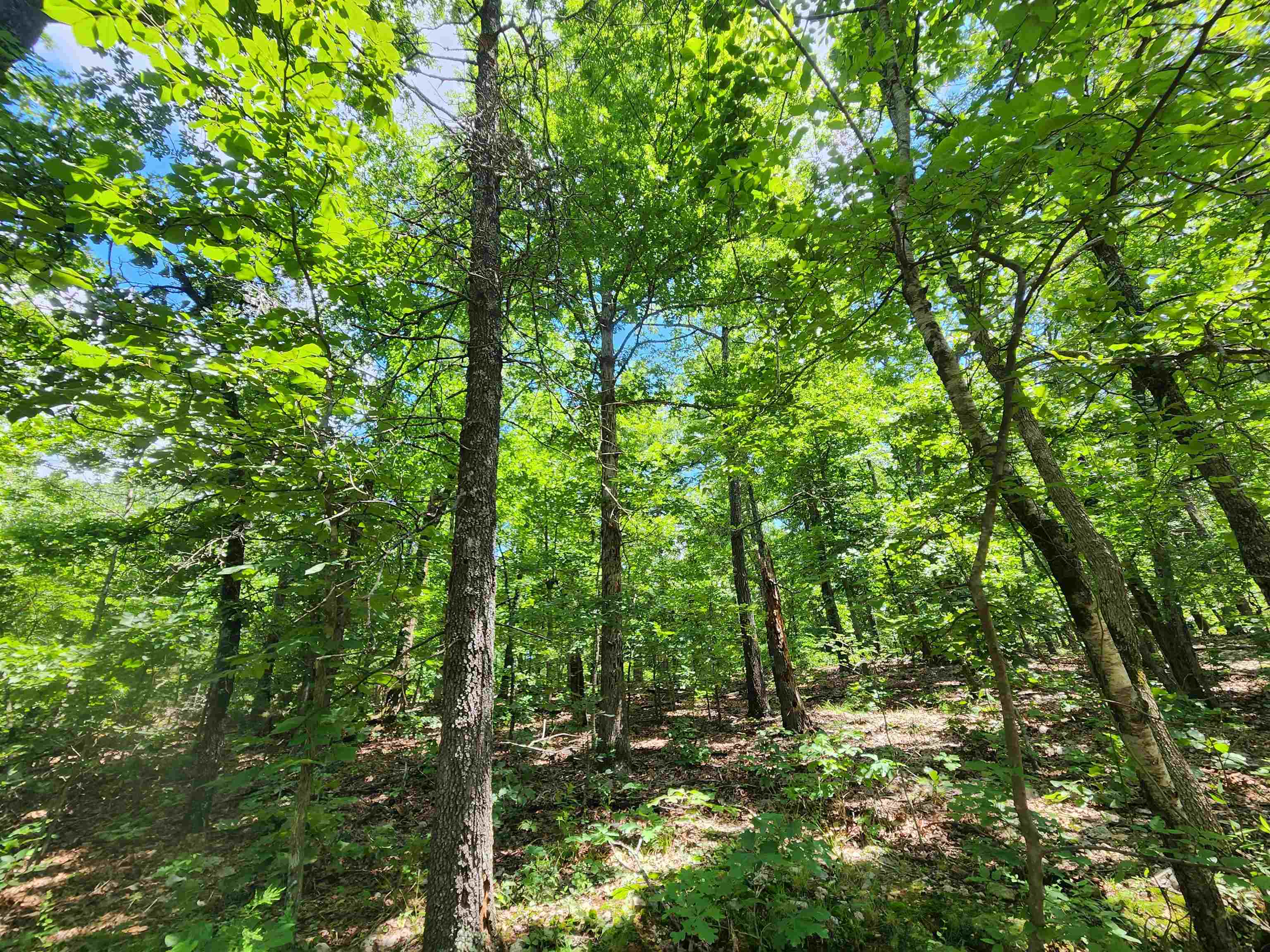 Photo 15 - Vacant Land for sale – L-14, B-4  Piute   Highland, AR