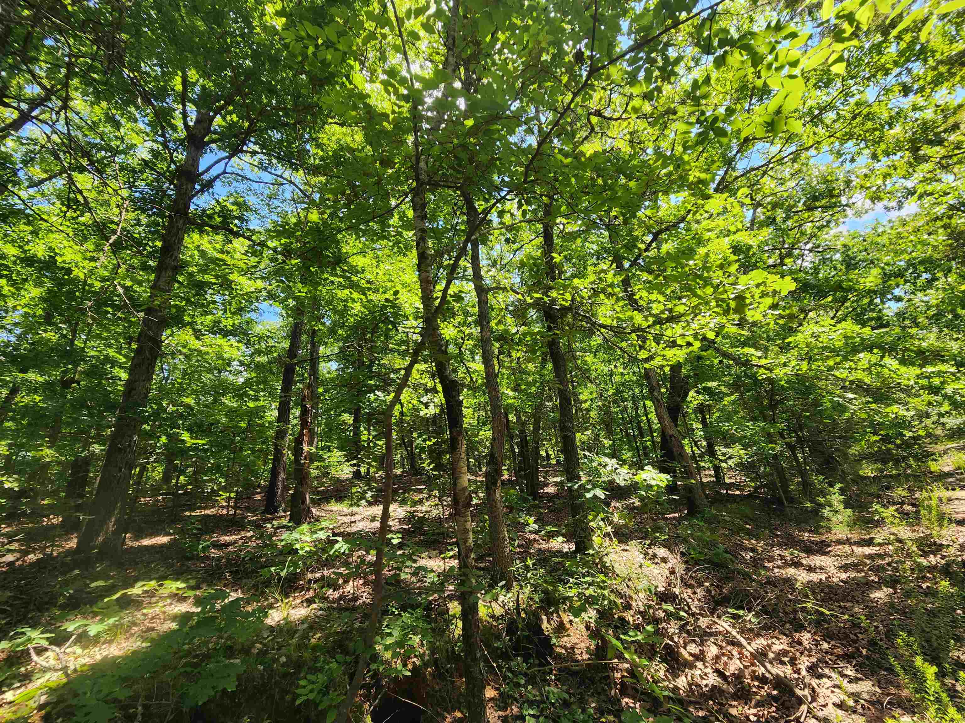 Photo 16 - Vacant Land for sale – L-14, B-4  Piute   Highland, AR