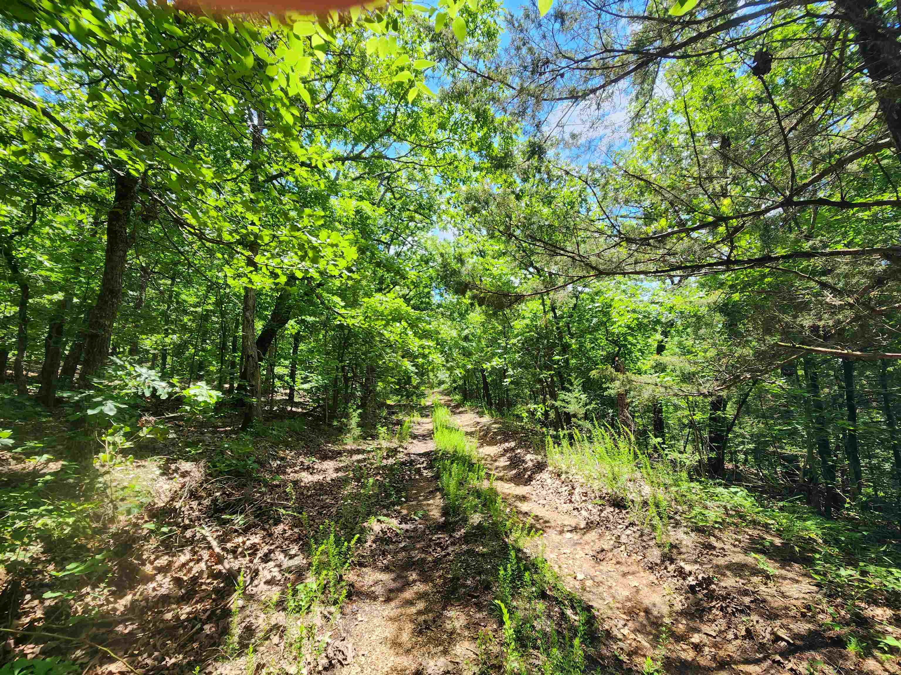 Photo 17 - Vacant Land for sale – L-14, B-4  Piute   Highland, AR