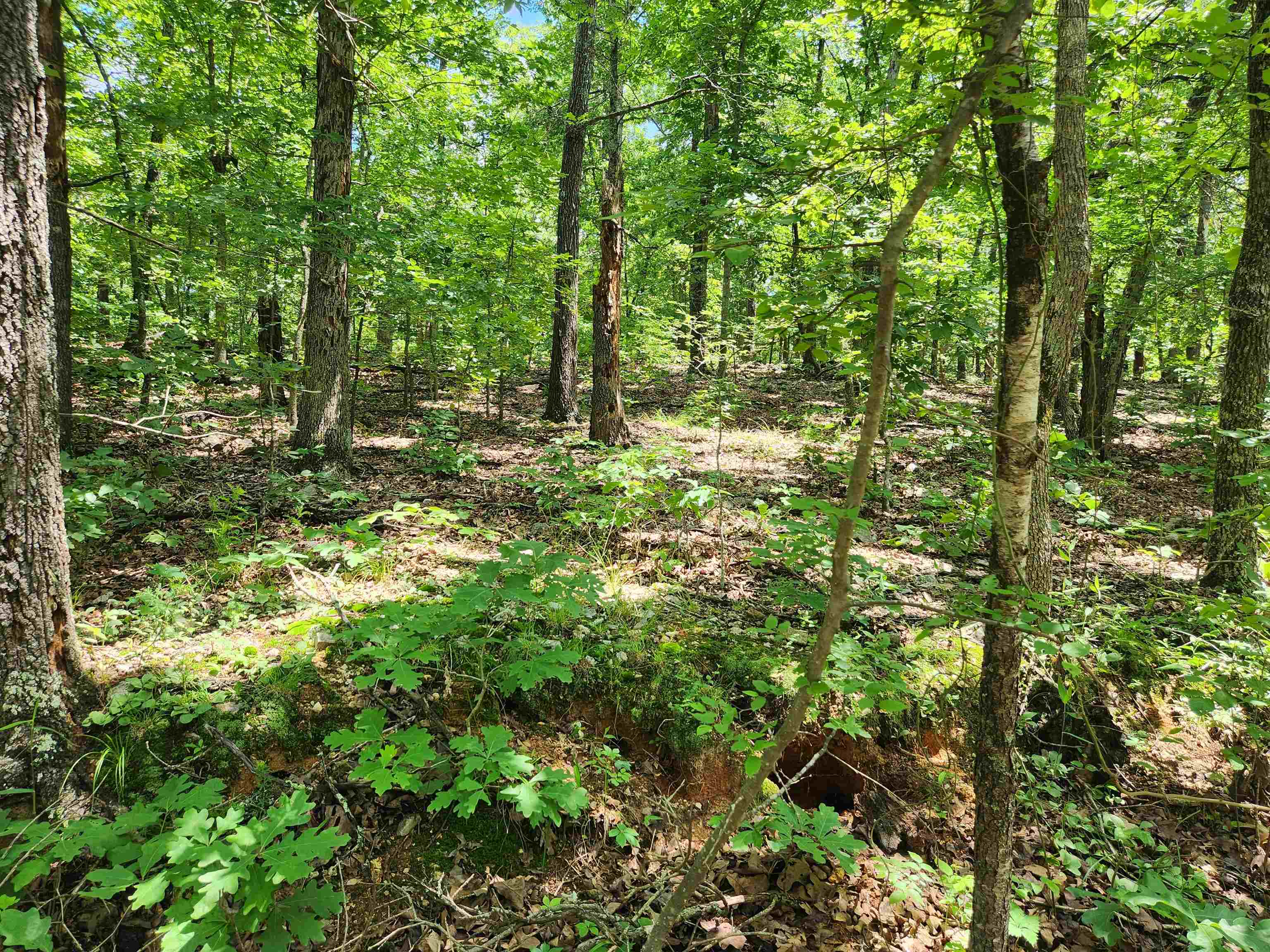 Photo 3 - Vacant Land for sale – L-14, B-4  Piute   Highland, AR