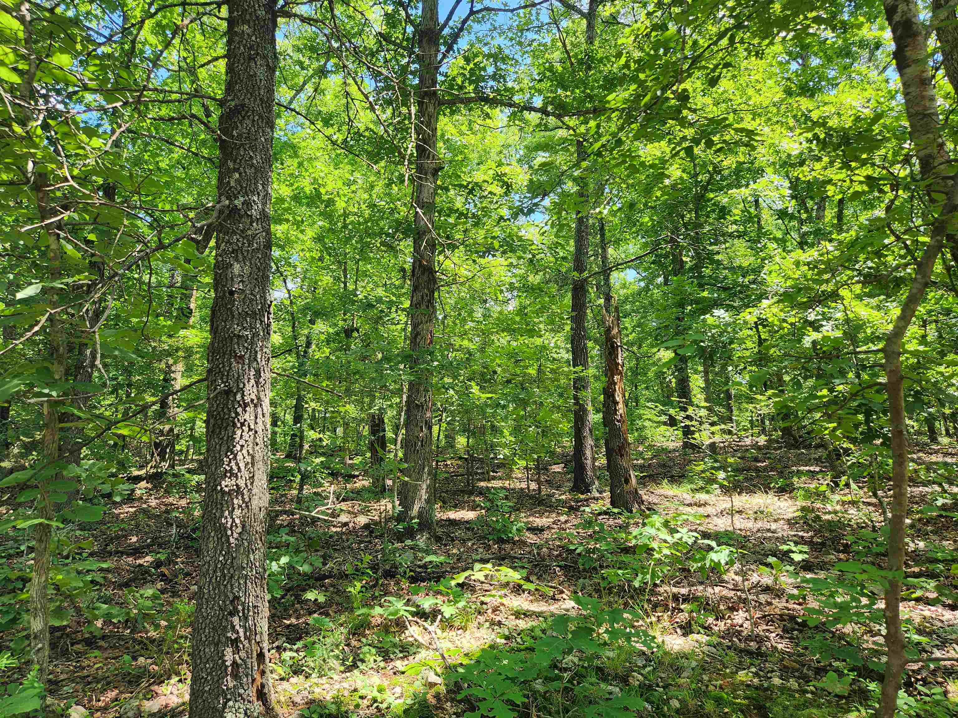 Photo 8 - Vacant Land for sale – L-14, B-4  Piute   Highland, AR