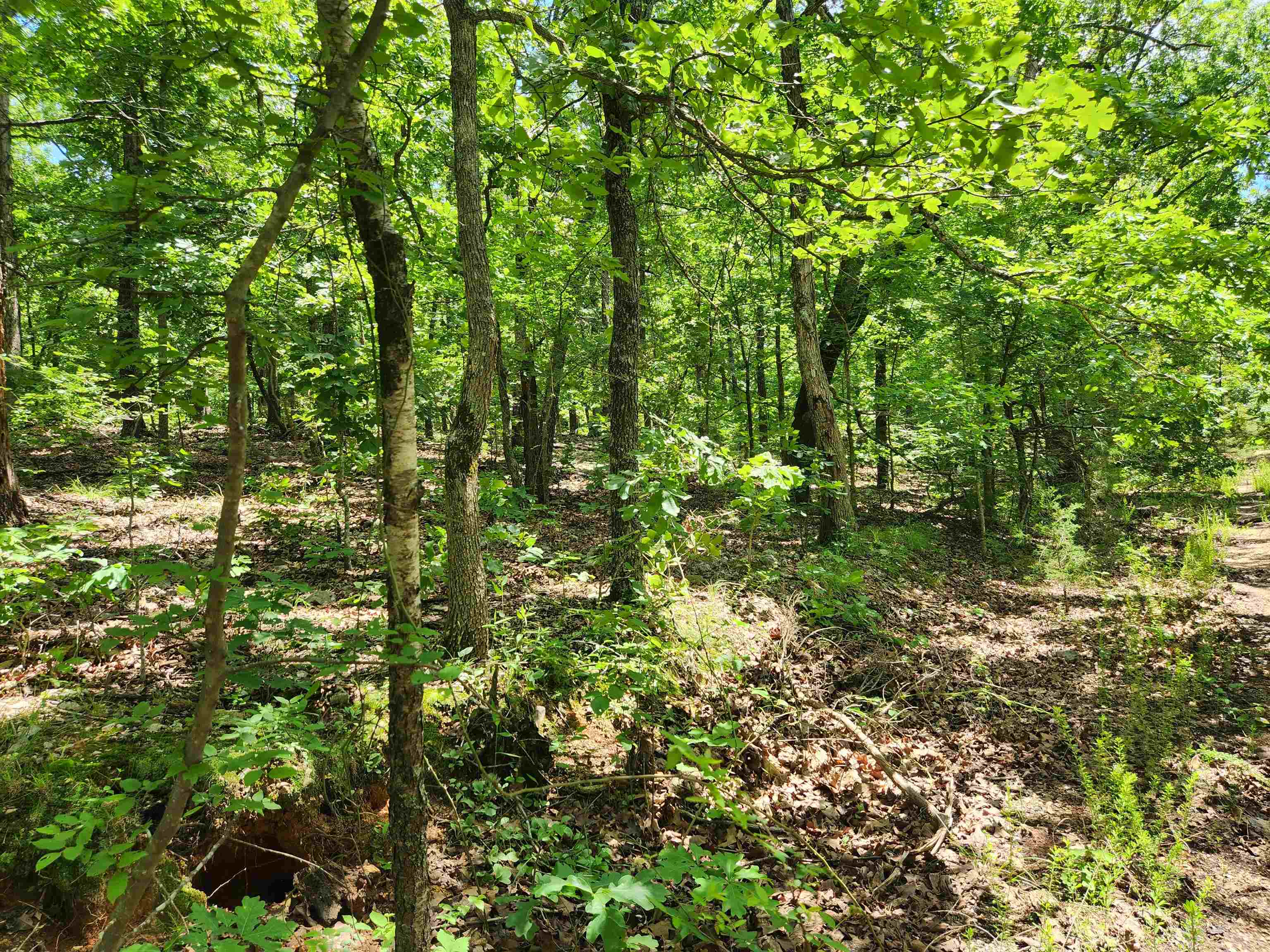 Photo 9 - Vacant Land for sale – L-14, B-4  Piute   Highland, AR