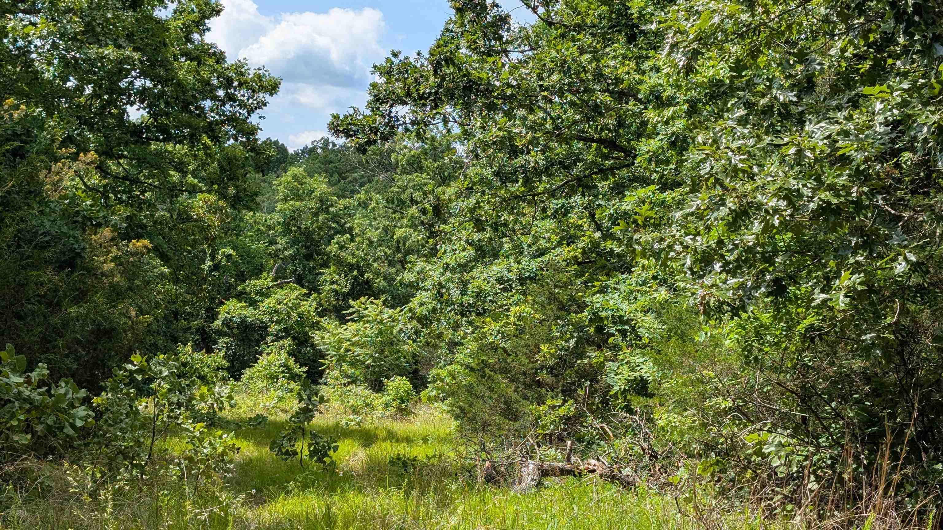 Photo 2 - Vacant Land for sale – 102  Basswood   Horseshoe Bend, AR
