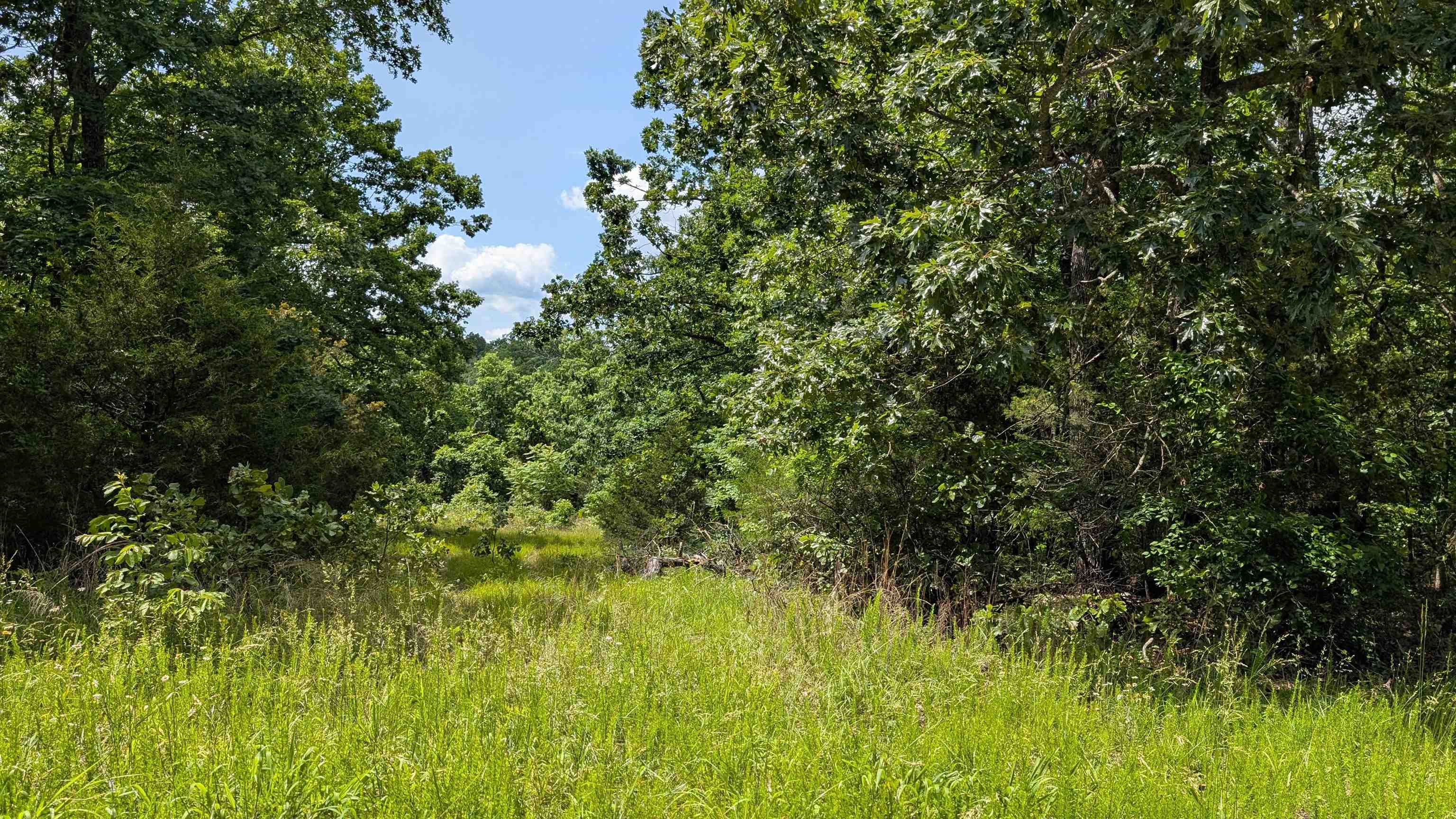 Photo 3 - Vacant Land for sale – 102  Basswood   Horseshoe Bend, AR