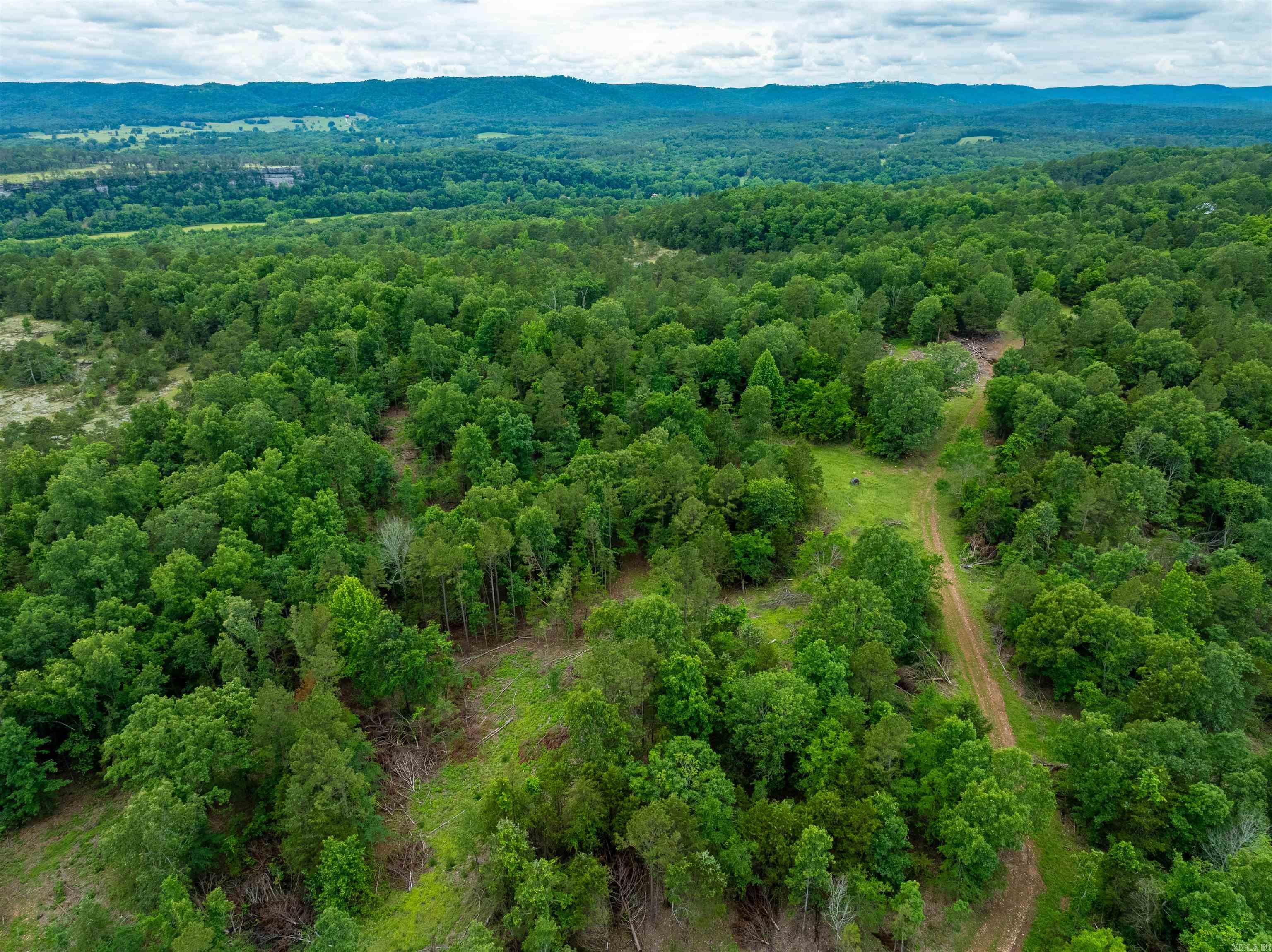 Photo 12 - Vacant Land for sale – 0  Chessmond Ferry Road   Calico Rock, AR