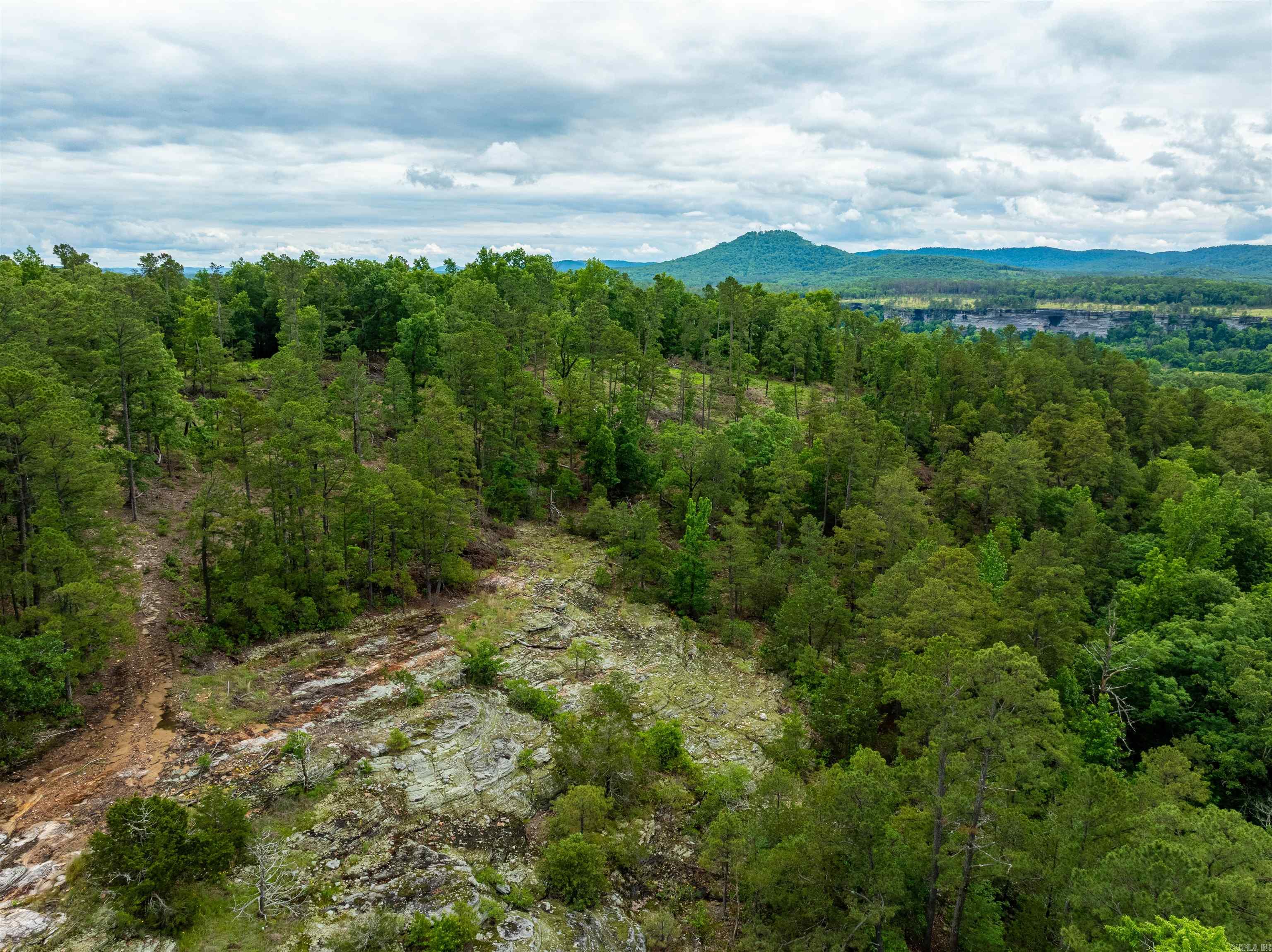 Photo 19 - Vacant Land for sale – 0  Chessmond Ferry Road   Calico Rock, AR