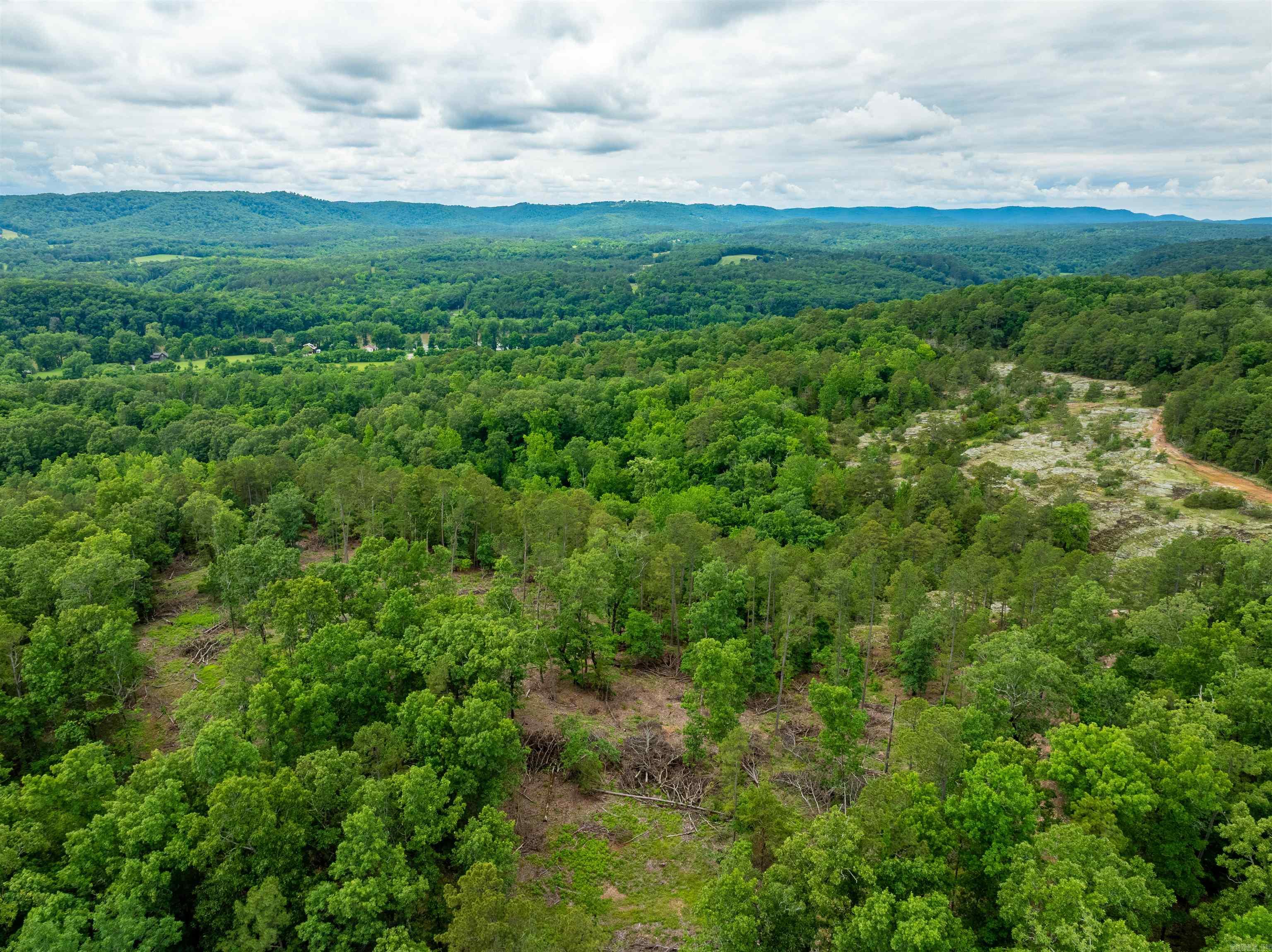 Photo 20 - Vacant Land for sale – 0  Chessmond Ferry Road   Calico Rock, AR