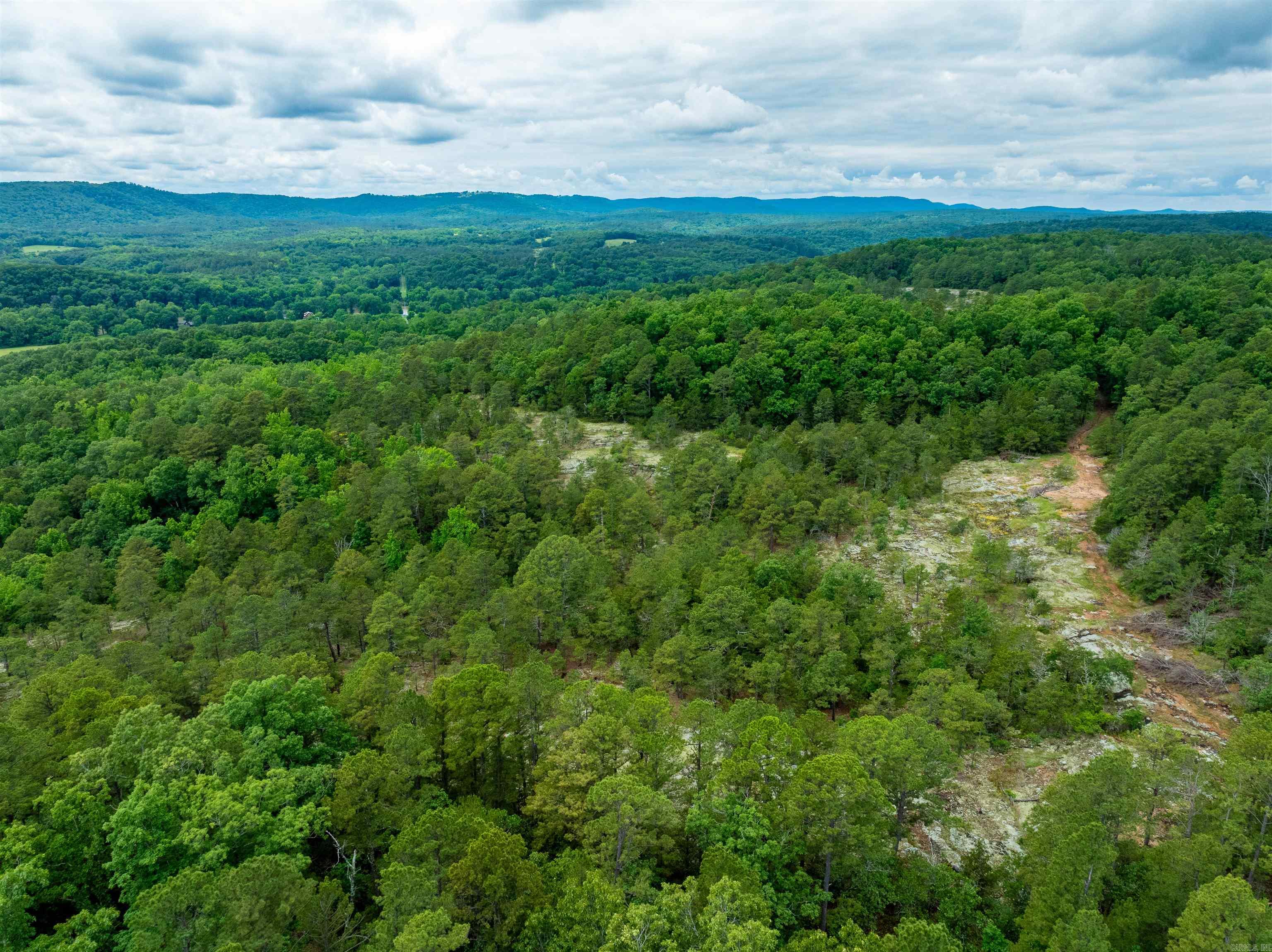 Photo 22 - Vacant Land for sale – 0  Chessmond Ferry Road   Calico Rock, AR