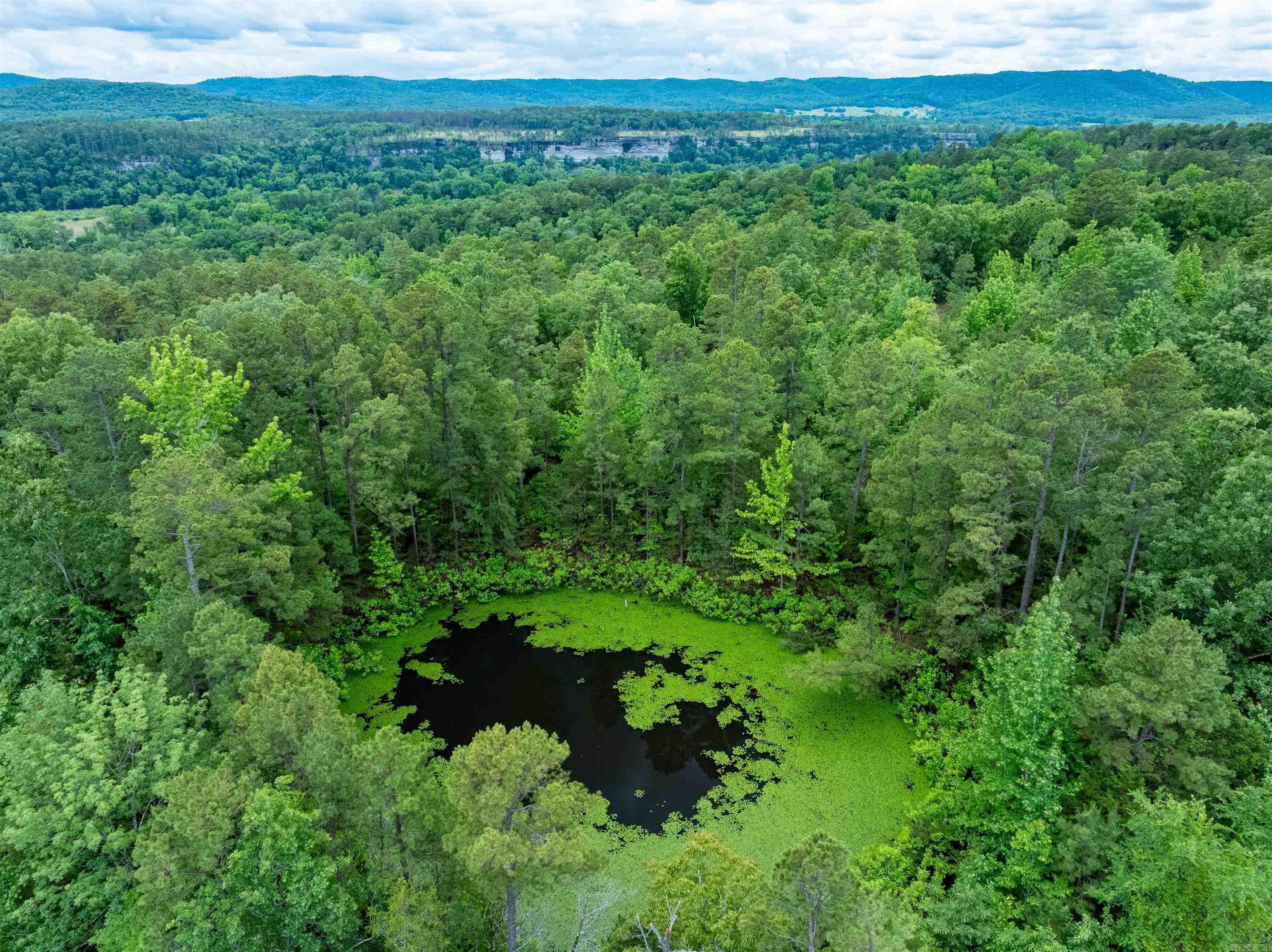 Photo 23 - Vacant Land for sale – 0  Chessmond Ferry Road   Calico Rock, AR