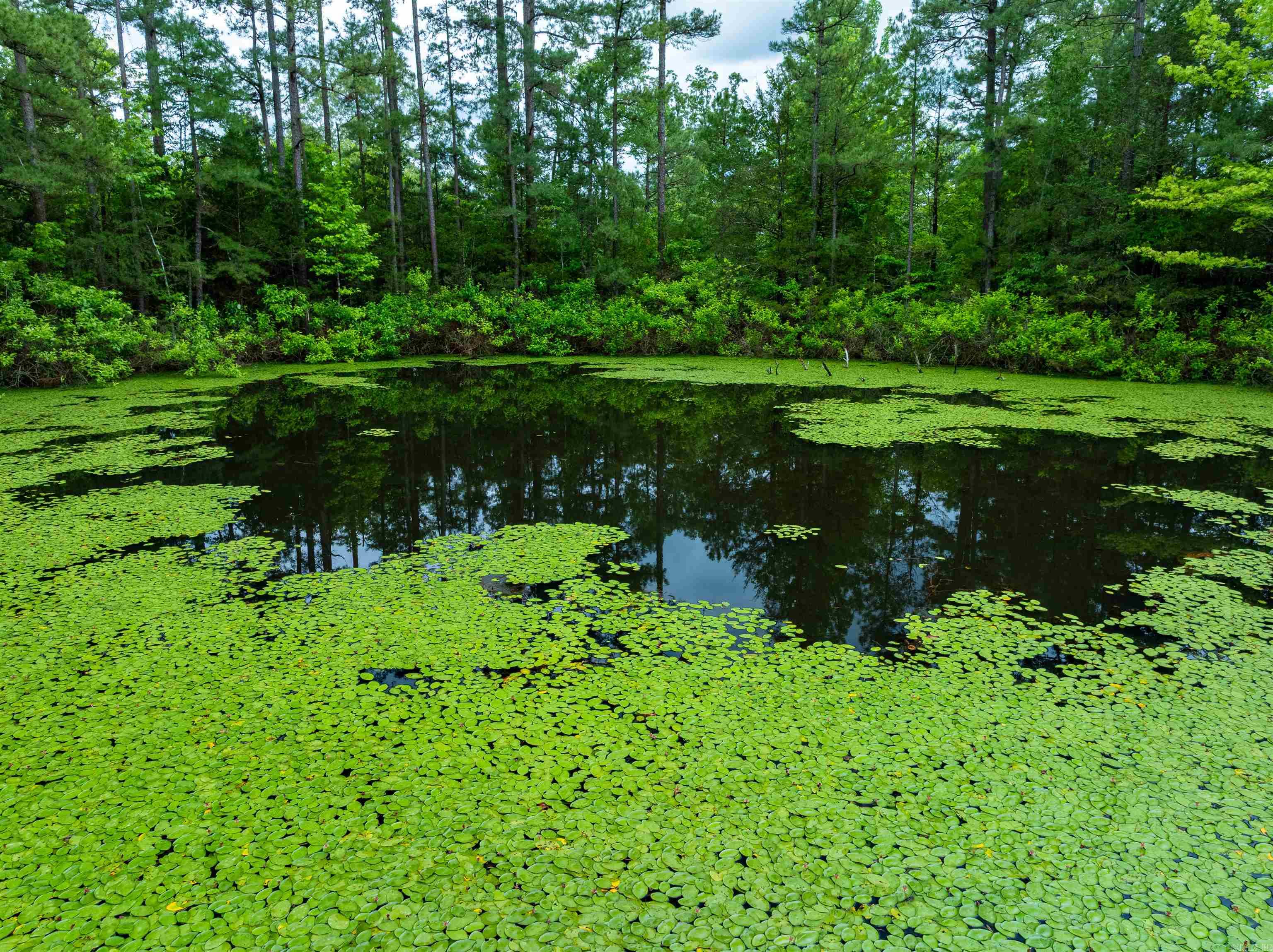Photo 25 - Vacant Land for sale – 0  Chessmond Ferry Road   Calico Rock, AR