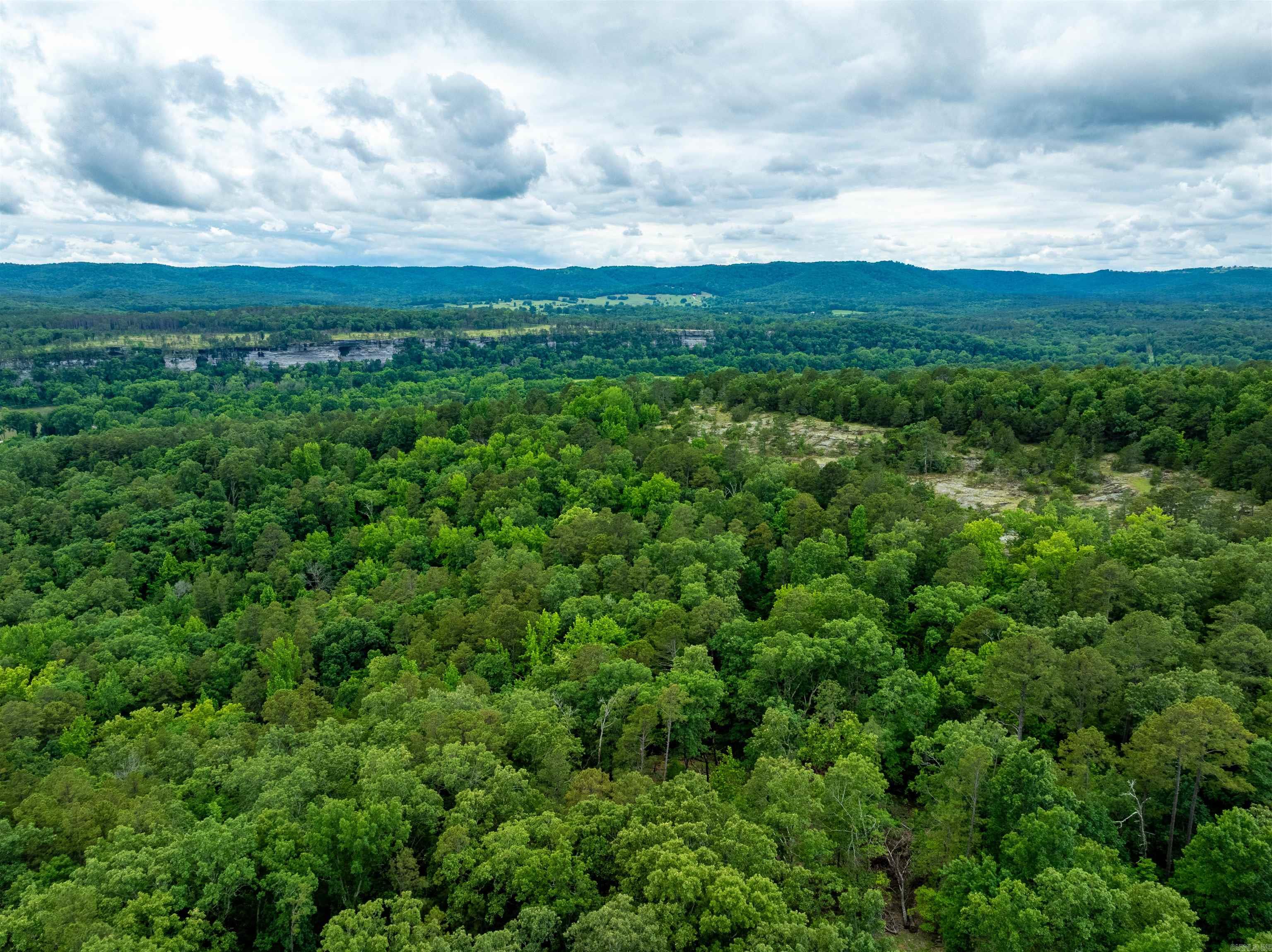 Photo 10 - Vacant Land for sale – 0  Chessmond Ferry Road   Calico Rock, AR