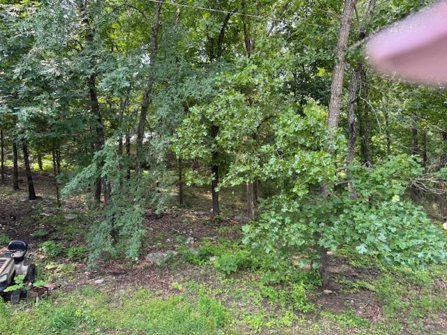Photo 10 - Residential for sale – 513 & 515 W Tri Lakes Drive   Horseshoe Bend, AR