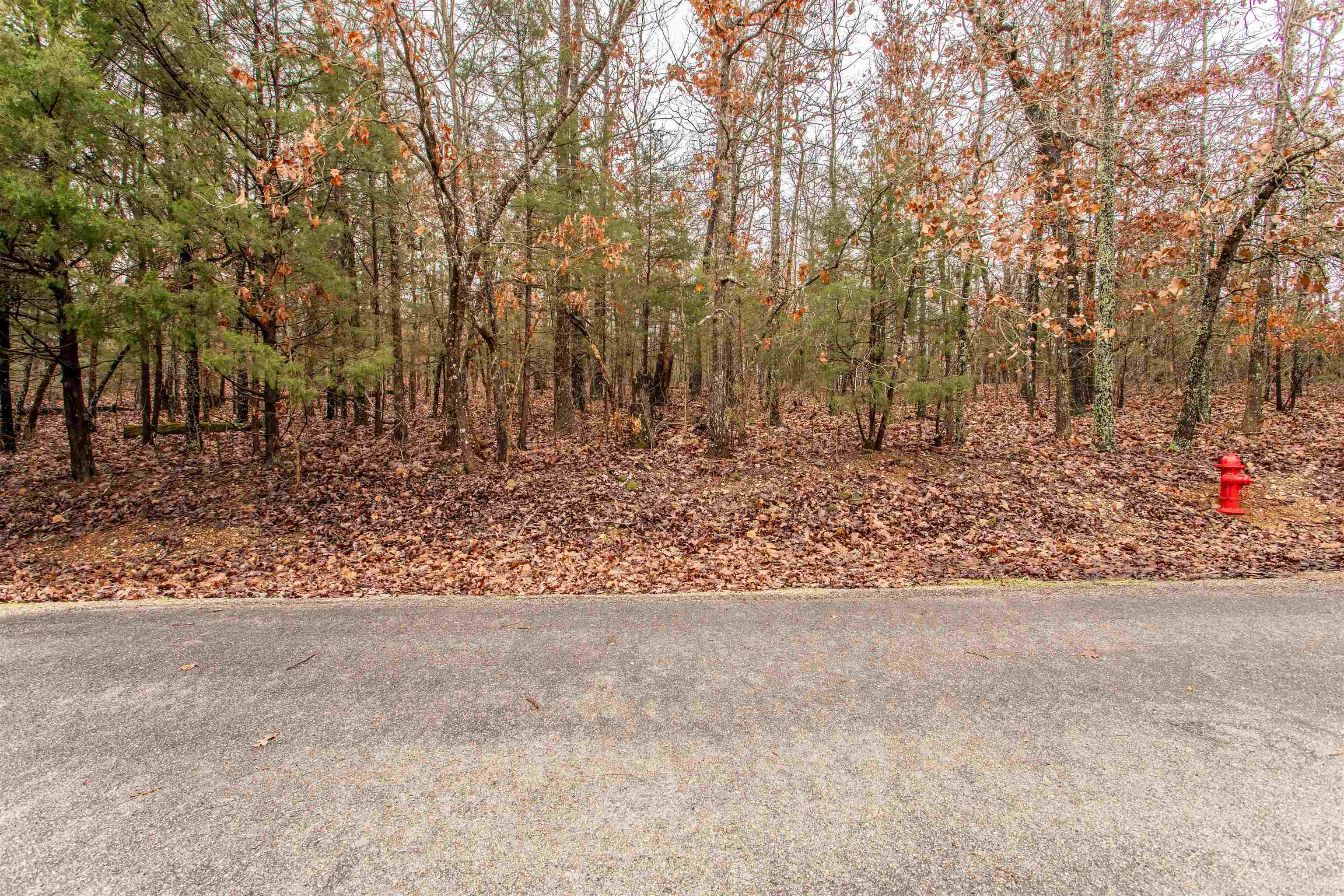 Vacant Land for sale – TBD  San Ildefonso Cir   Cherokee Village, AR