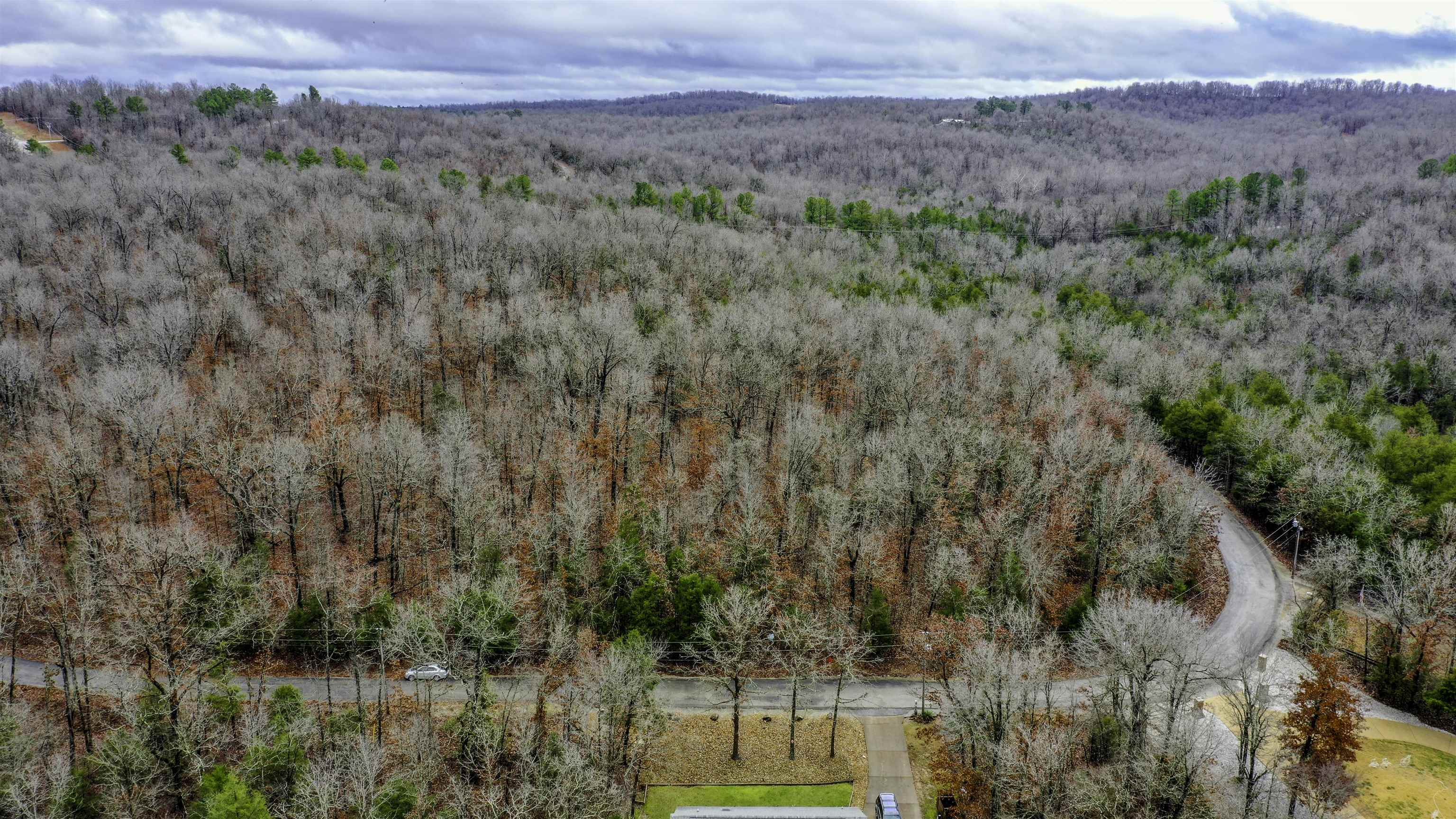 Photo 5 - Vacant Land for sale – TBD  San Ildefonso Cir   Cherokee Village, AR