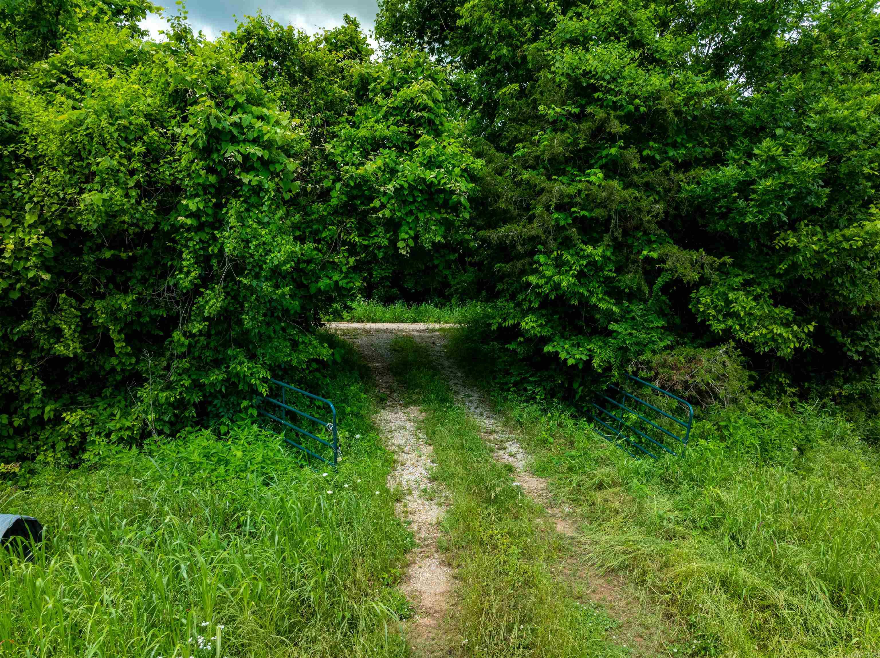 Photo 43 - Vacant Land for sale – o  Mill Creek   Smithville, AR