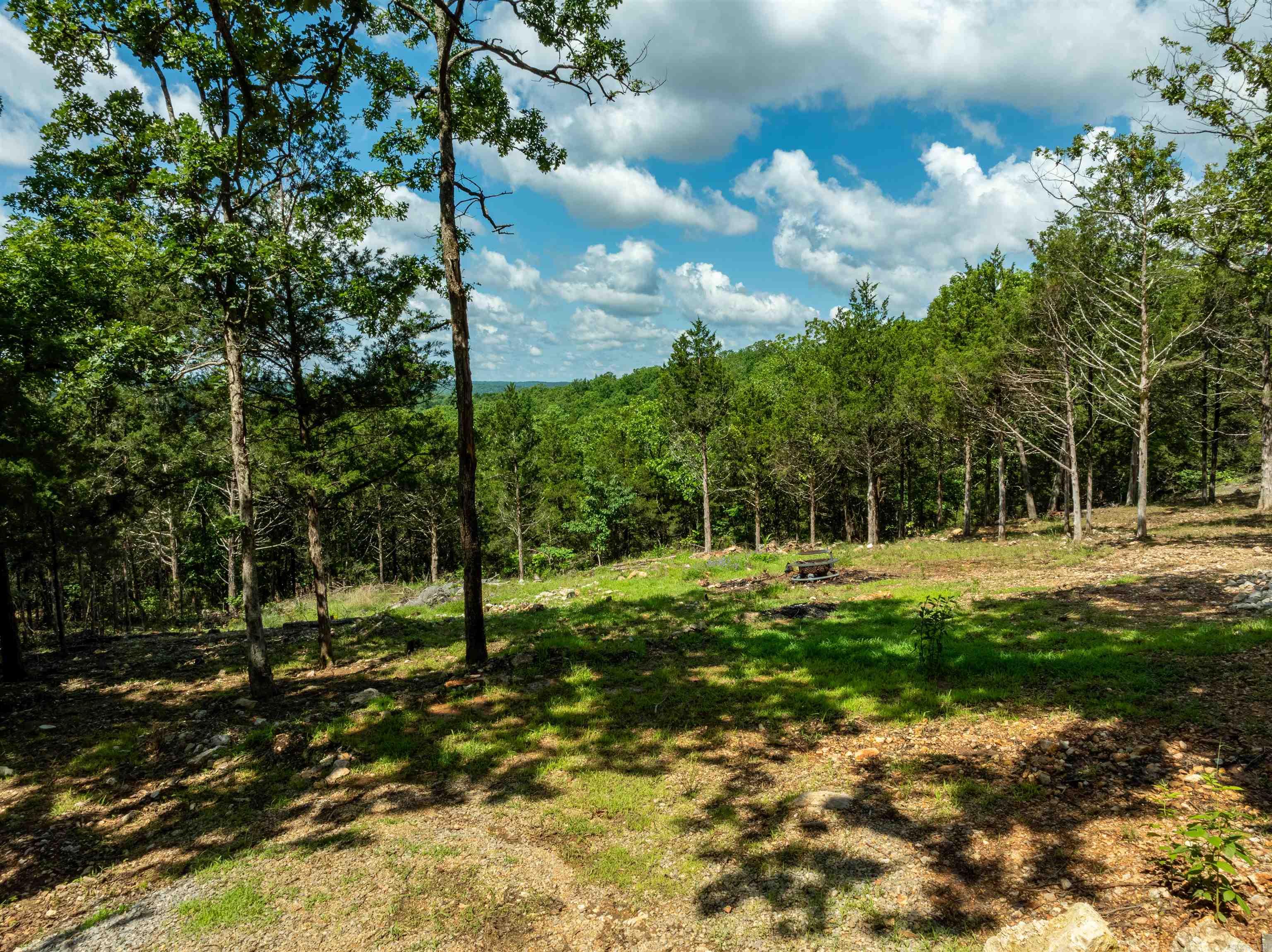 Photo 14 - Residential for sale – 447  Griffin Rd   Hardy, AR