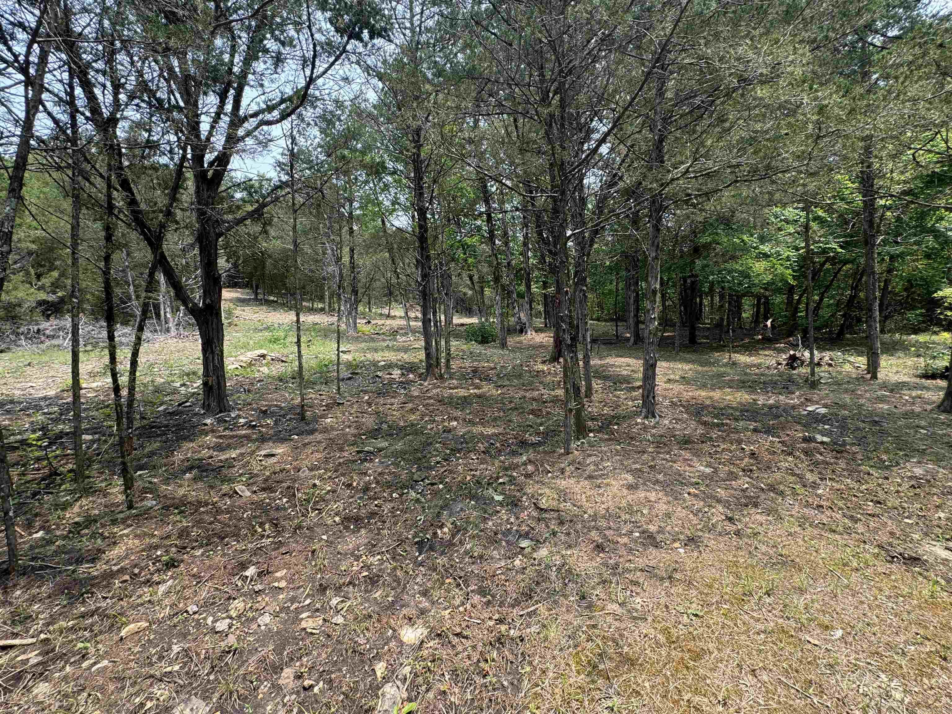 Photo 19 - Residential for sale – 447  Griffin Rd   Hardy, AR
