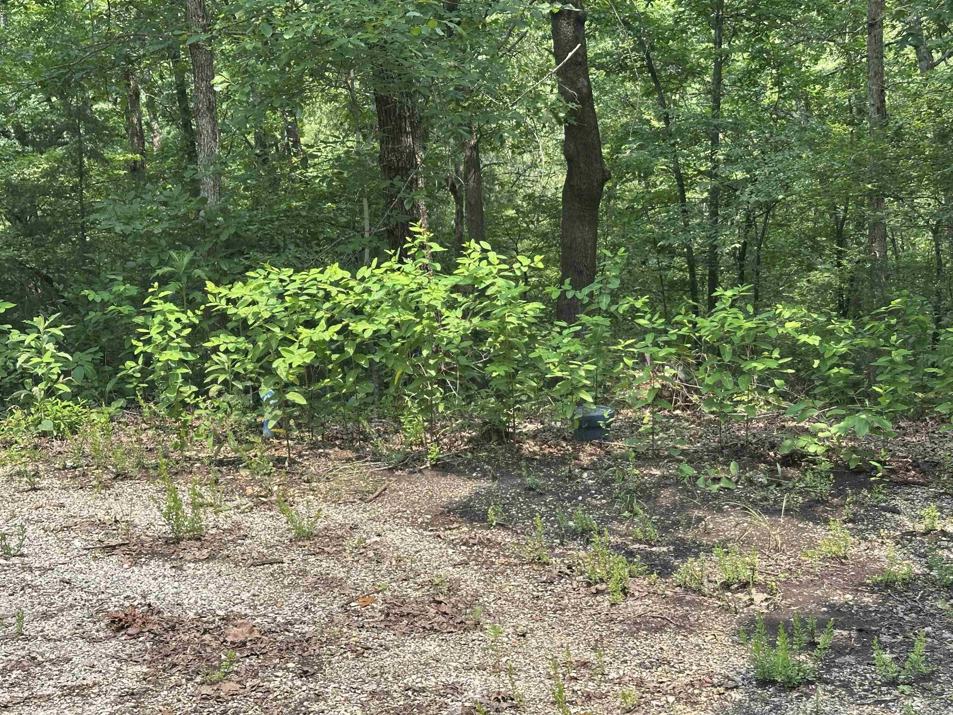Photo 31 - Residential for sale – 447  Griffin Rd   Hardy, AR