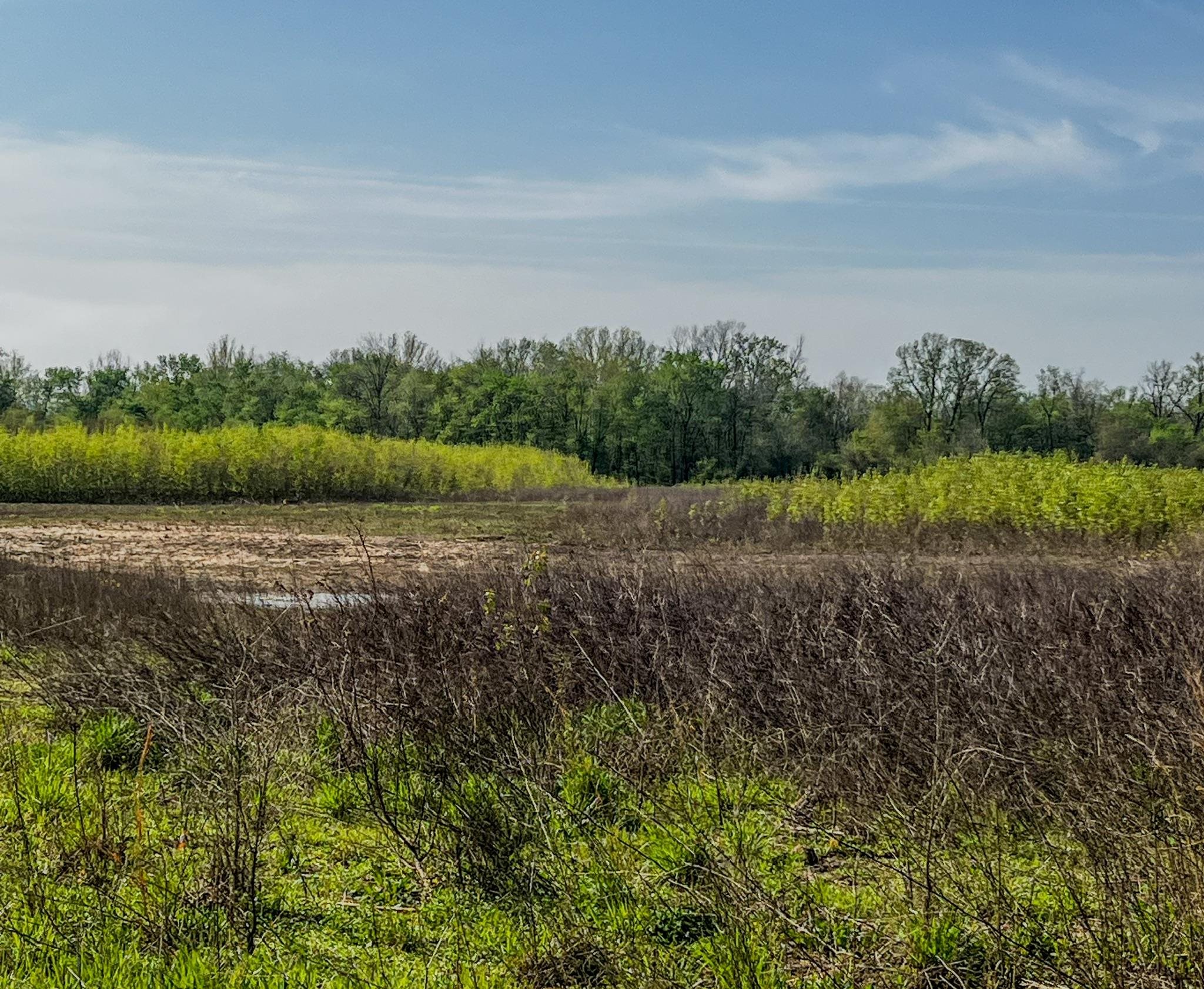 Photo 12 - Vacant Land for sale – 1962 acres  Upper Lockhart Road   Cord, AR
