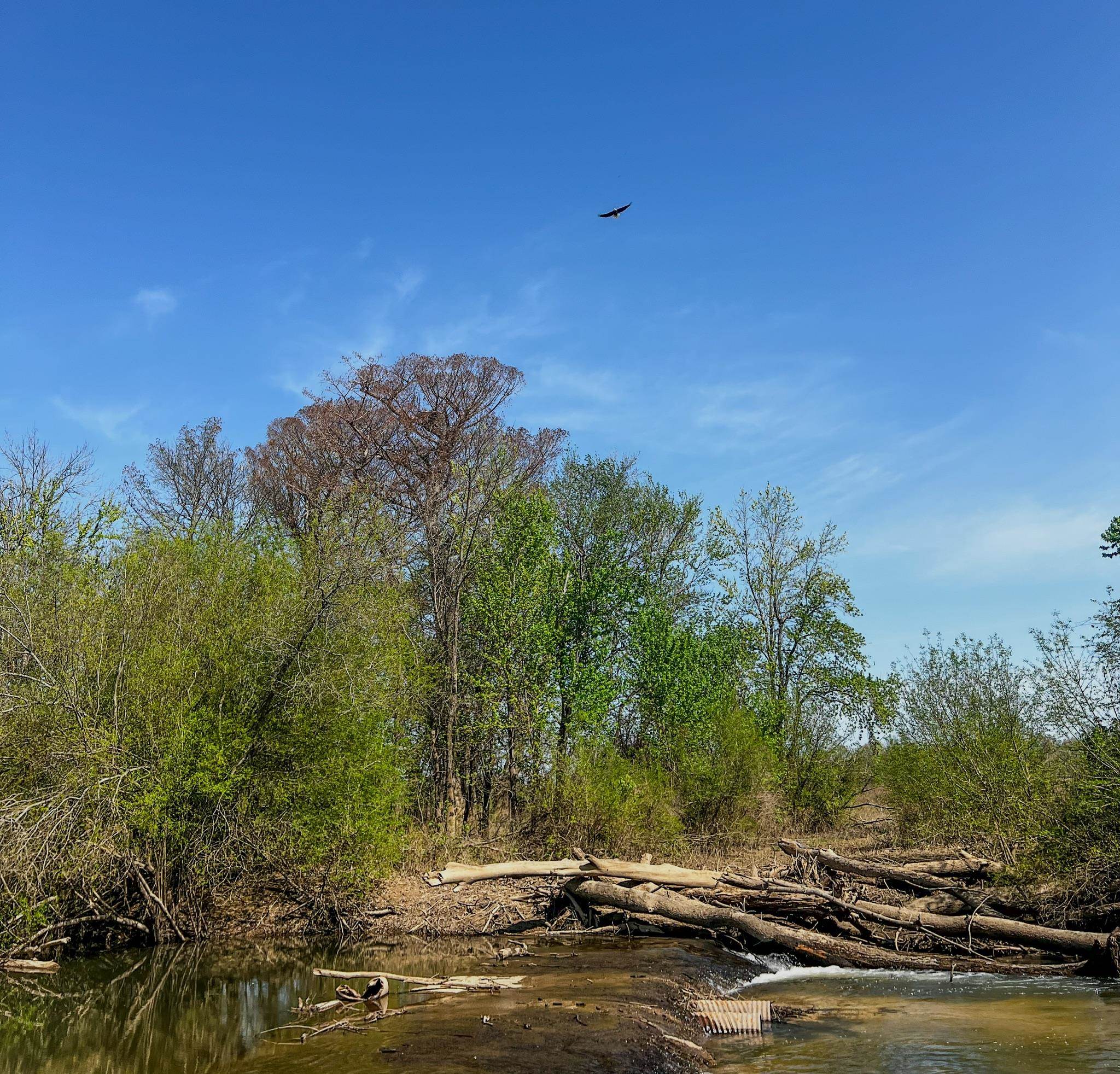 Photo 17 - Vacant Land for sale – 1962 acres  Upper Lockhart Road   Cord, AR