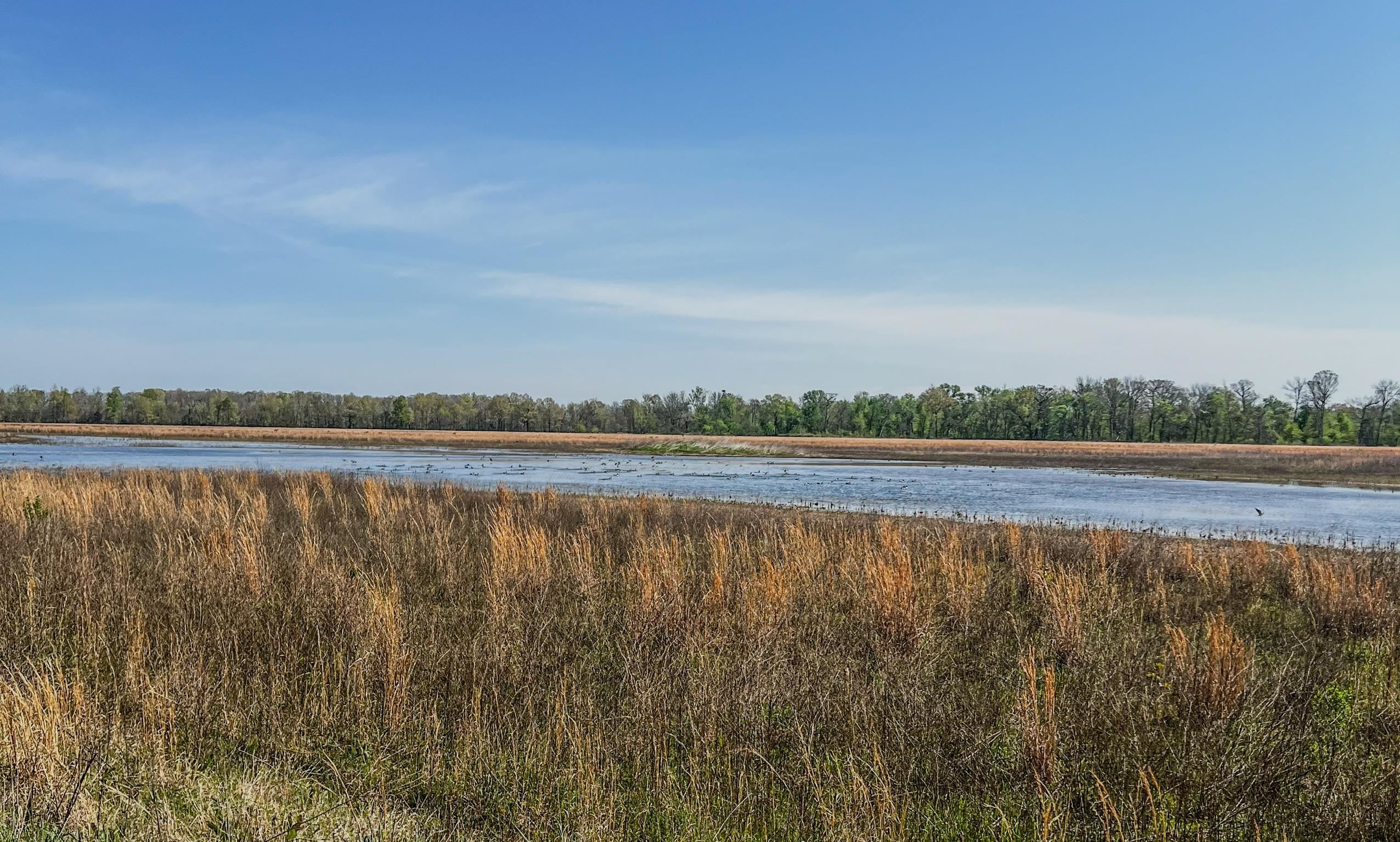 Photo 19 - Vacant Land for sale – 1962 acres  Upper Lockhart Road   Cord, AR