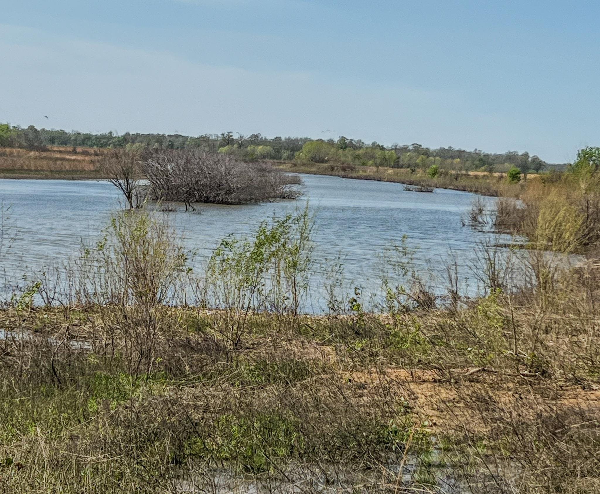 Photo 5 - Vacant Land for sale – 1962 acres  Upper Lockhart Road   Cord, AR