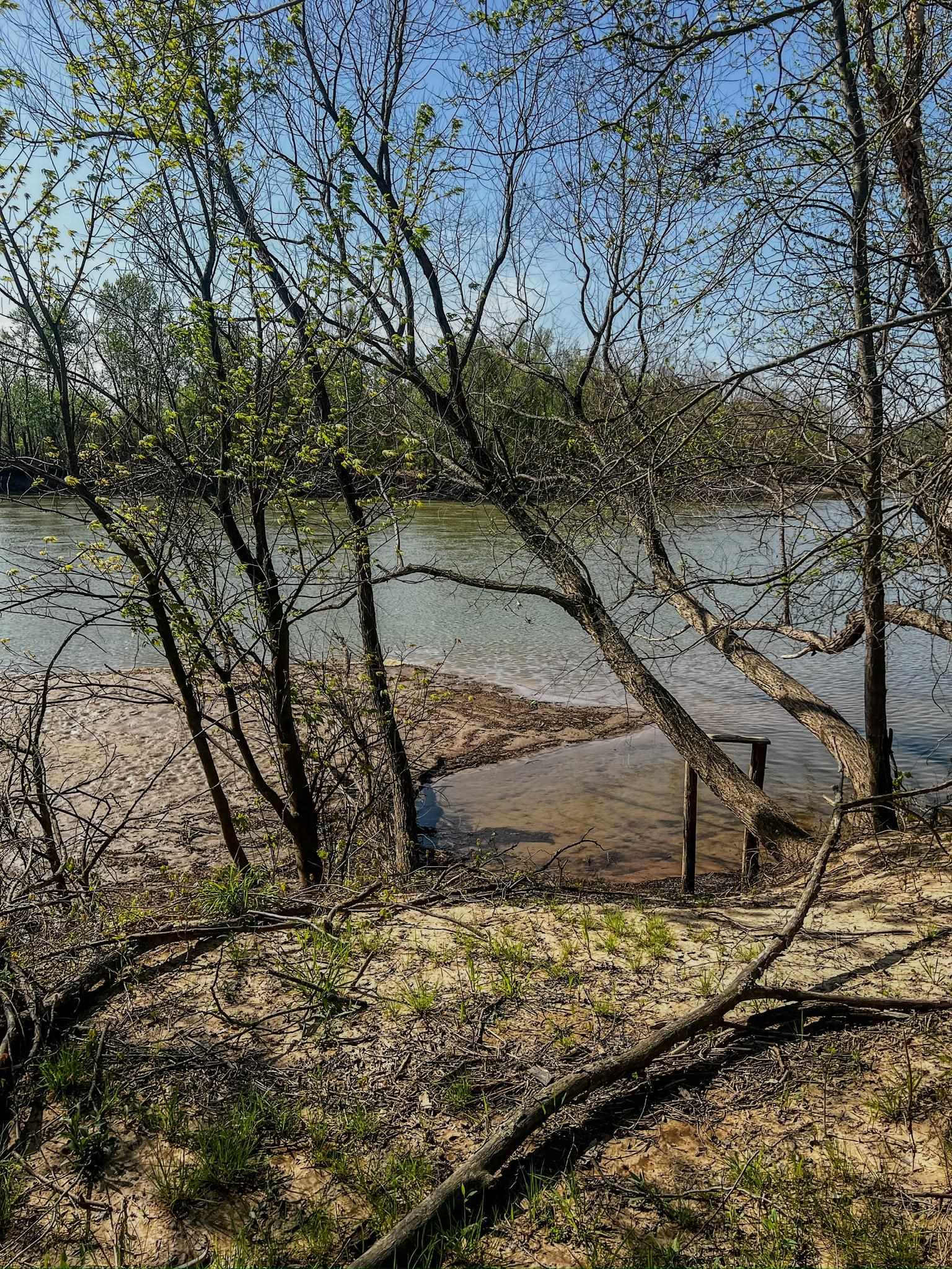 Photo 8 - Vacant Land for sale – 1962 acres  Upper Lockhart Road   Cord, AR