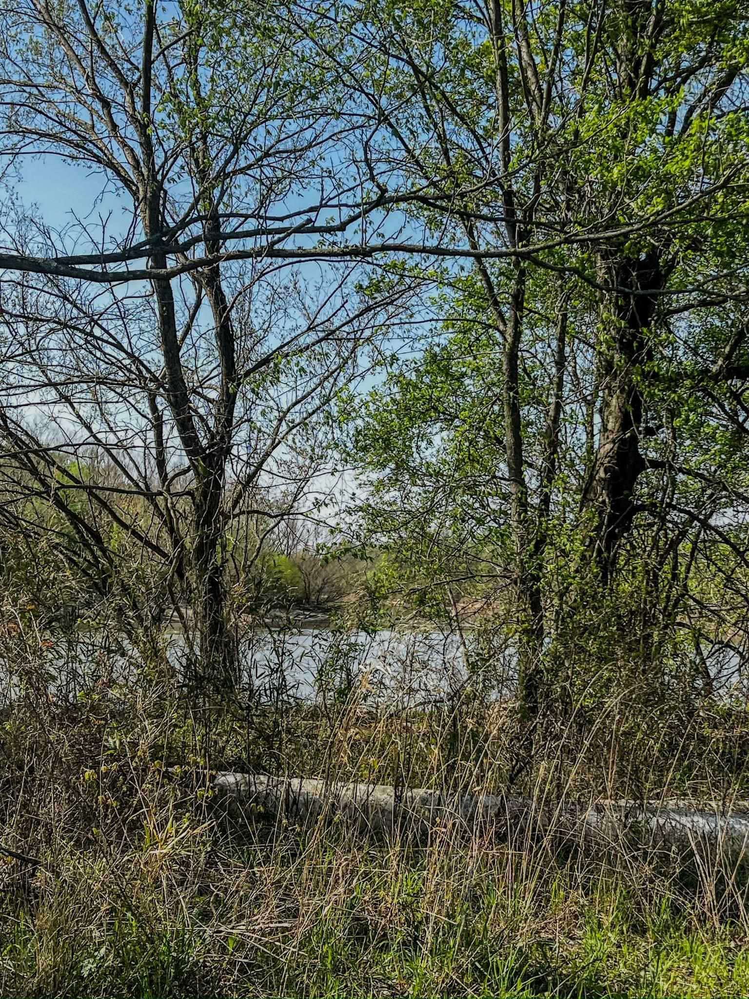 Photo 9 - Vacant Land for sale – 1962 acres  Upper Lockhart Road   Cord, AR