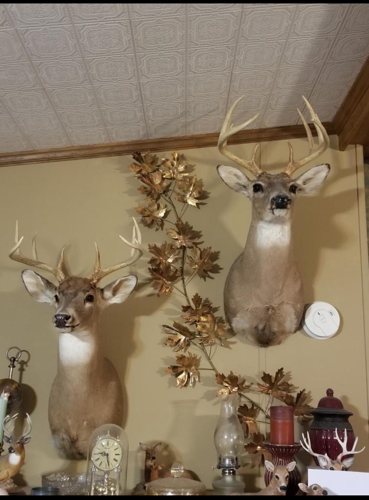 Photo 2 - Residential for sale – 2152  Dove   Gepp, AR