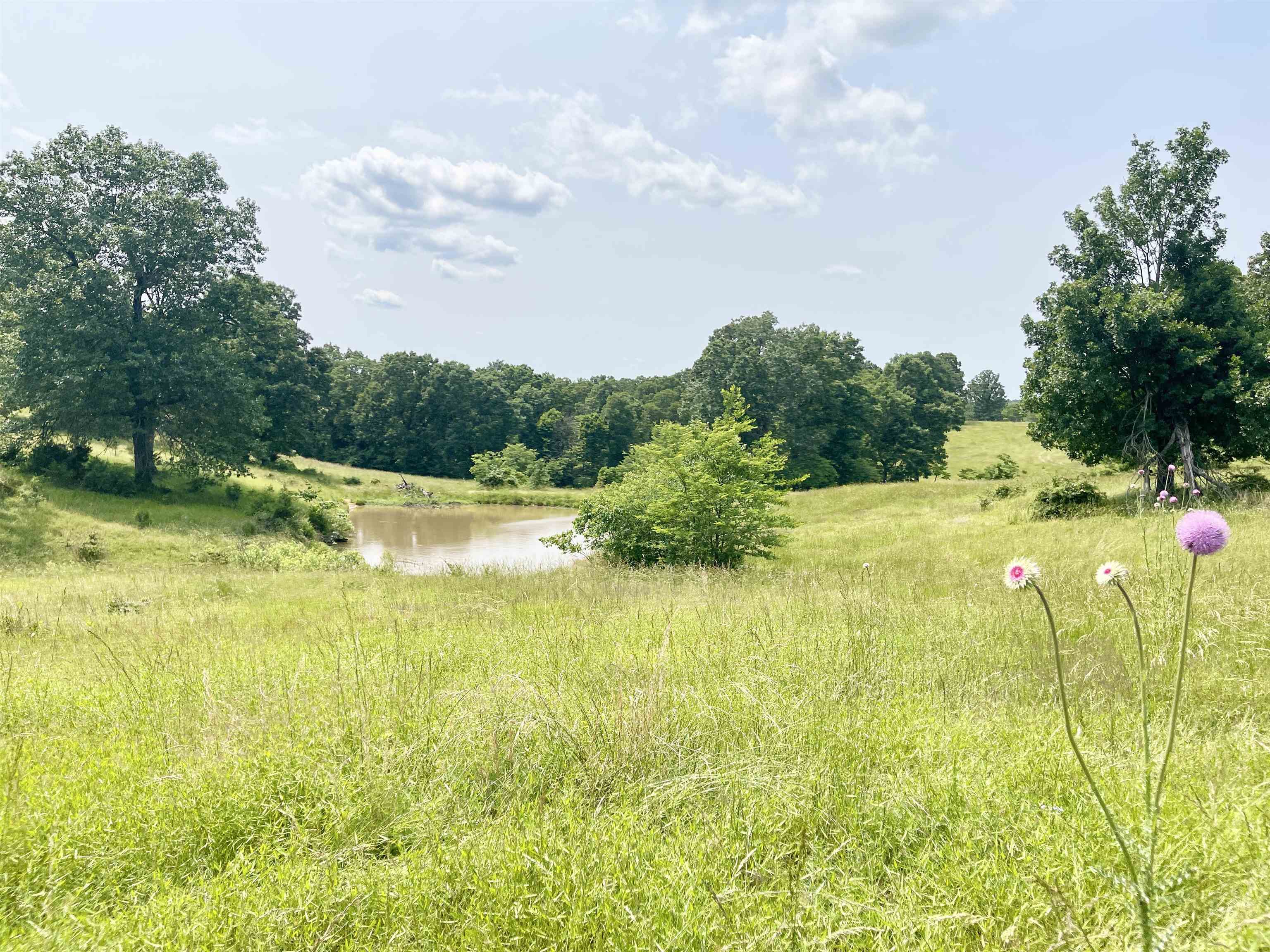 Photo 32 - Residential for sale – 2152  Dove   Gepp, AR