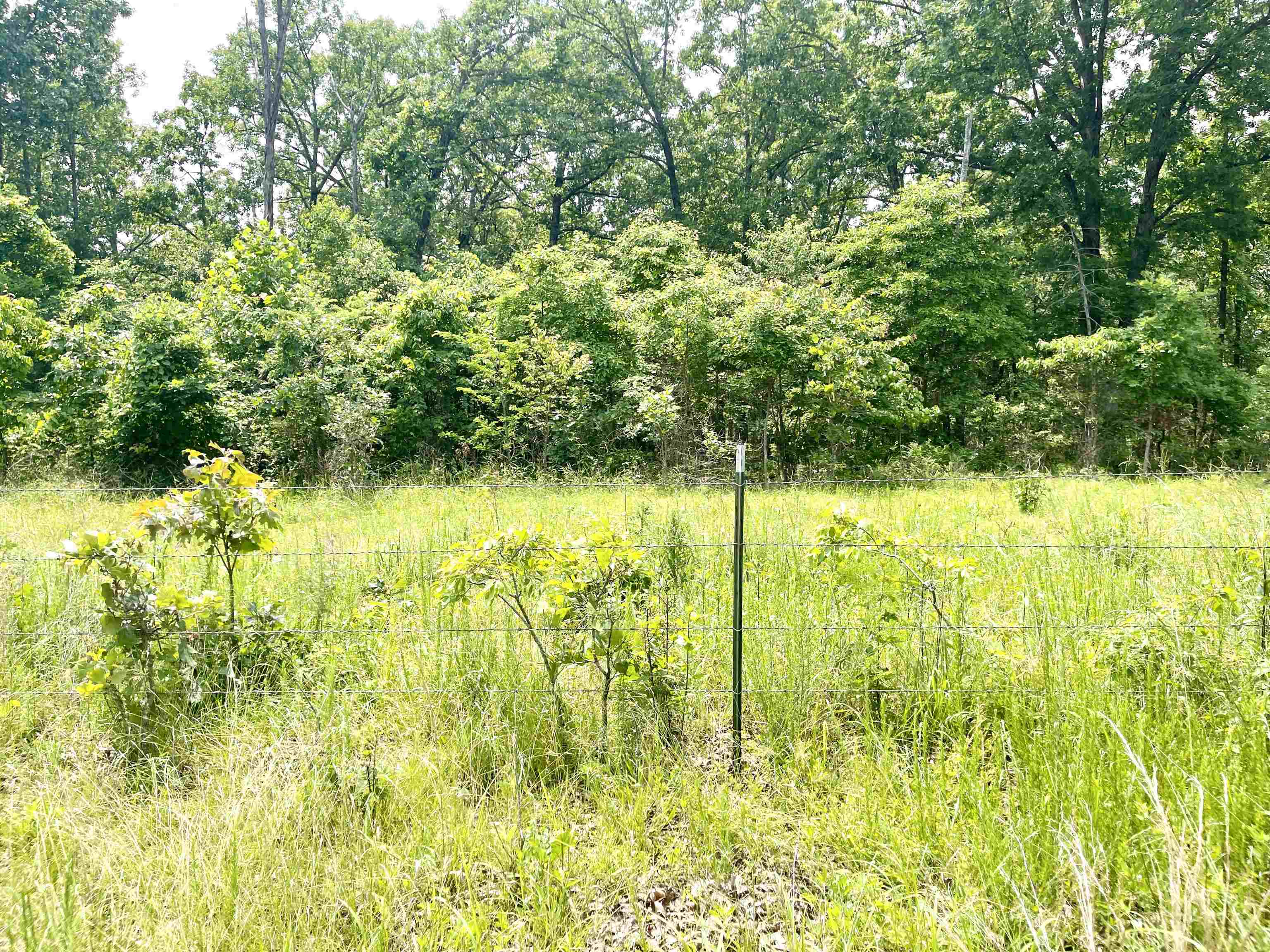 Photo 33 - Residential for sale – 2152  Dove   Gepp, AR