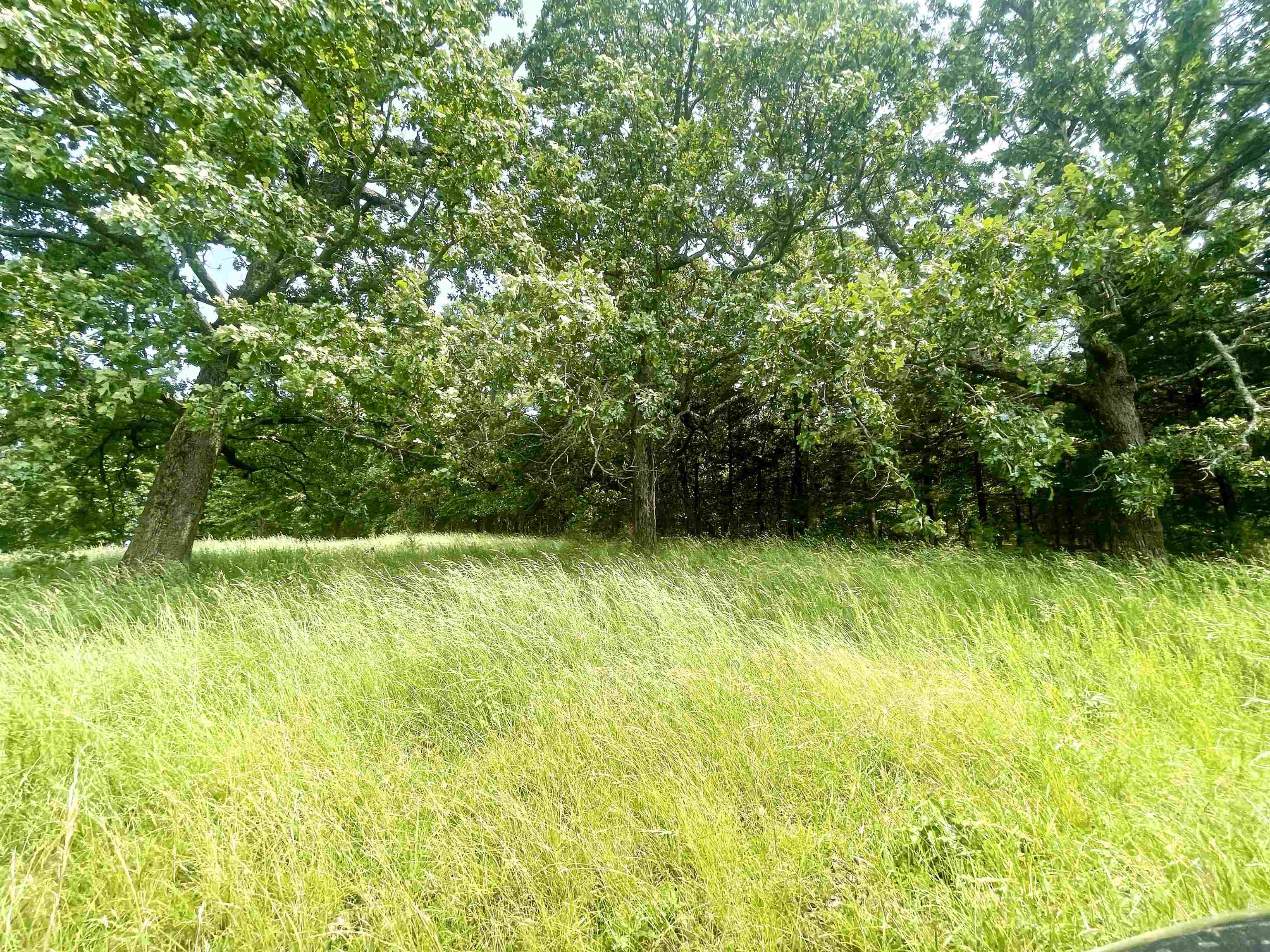 Photo 34 - Residential for sale – 2152  Dove   Gepp, AR