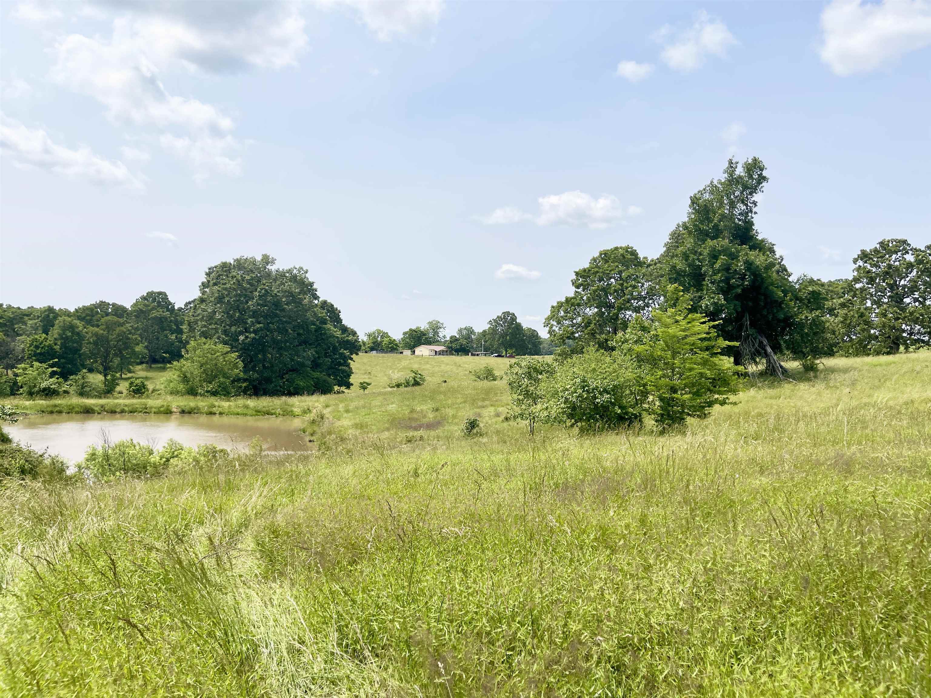 Photo 37 - Residential for sale – 2152  Dove   Gepp, AR