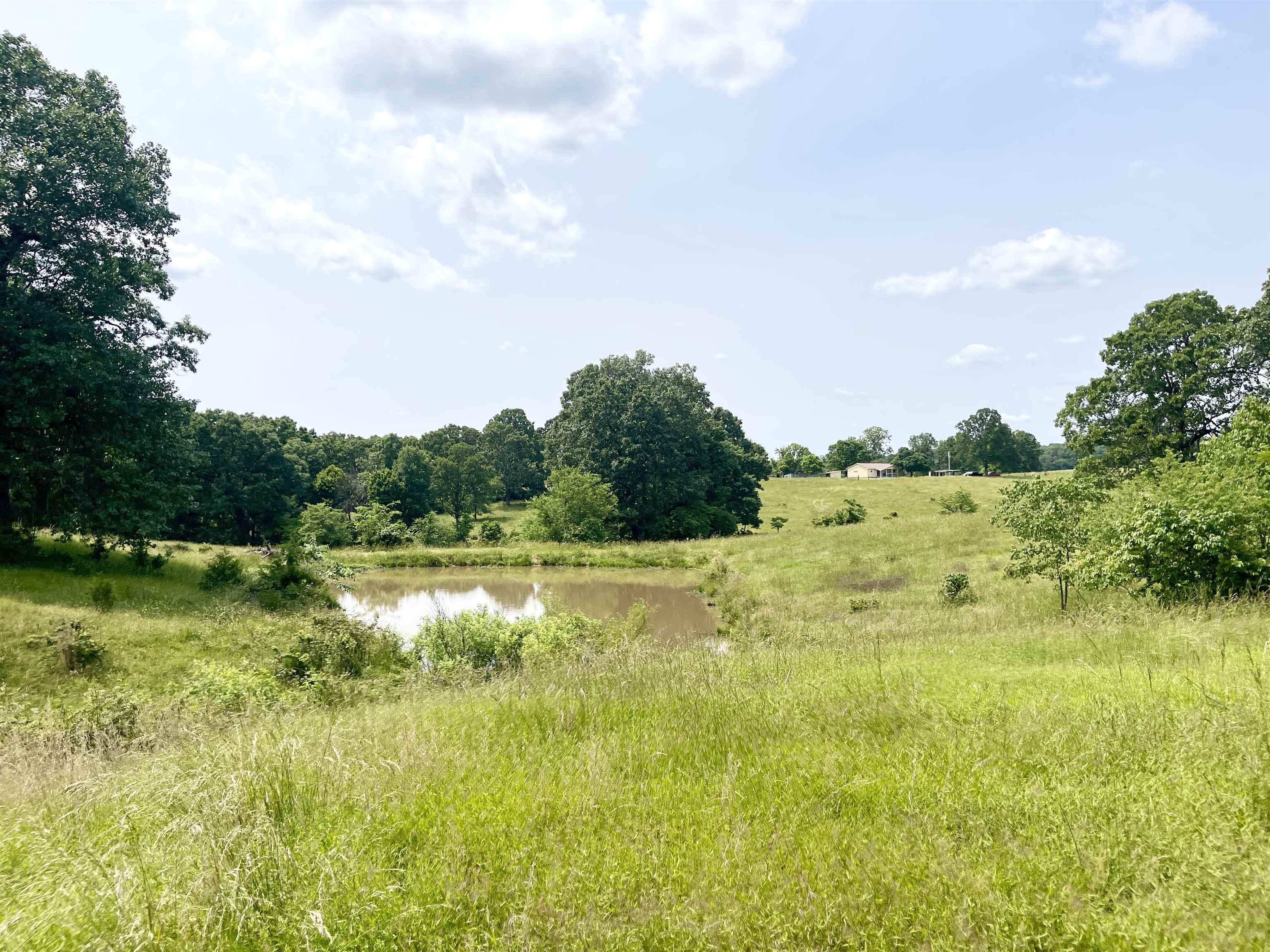 Photo 42 - Residential for sale – 2152  Dove   Gepp, AR