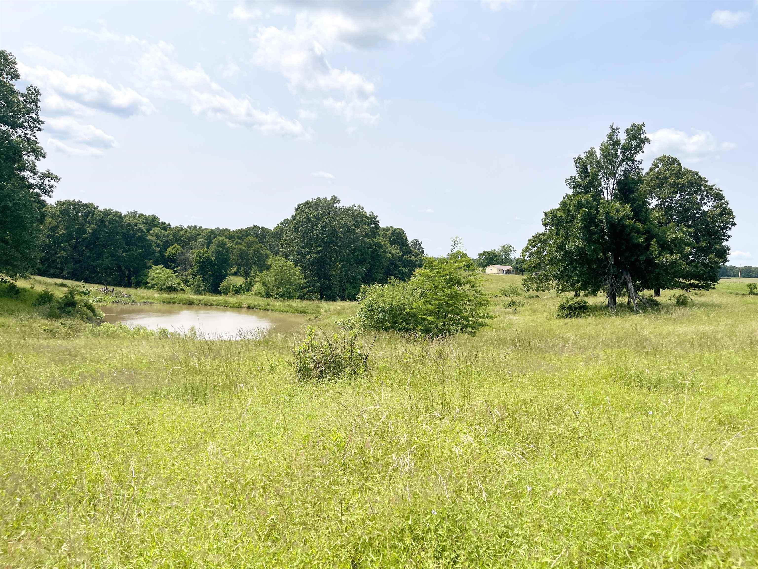 Photo 10 - Residential for sale – 2152  Dove   Gepp, AR