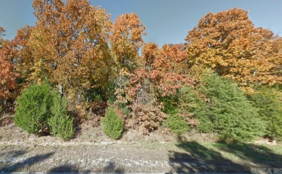 Photo 4 - Vacant Land for sale – 100  Church   Horseshoe Bend, AR