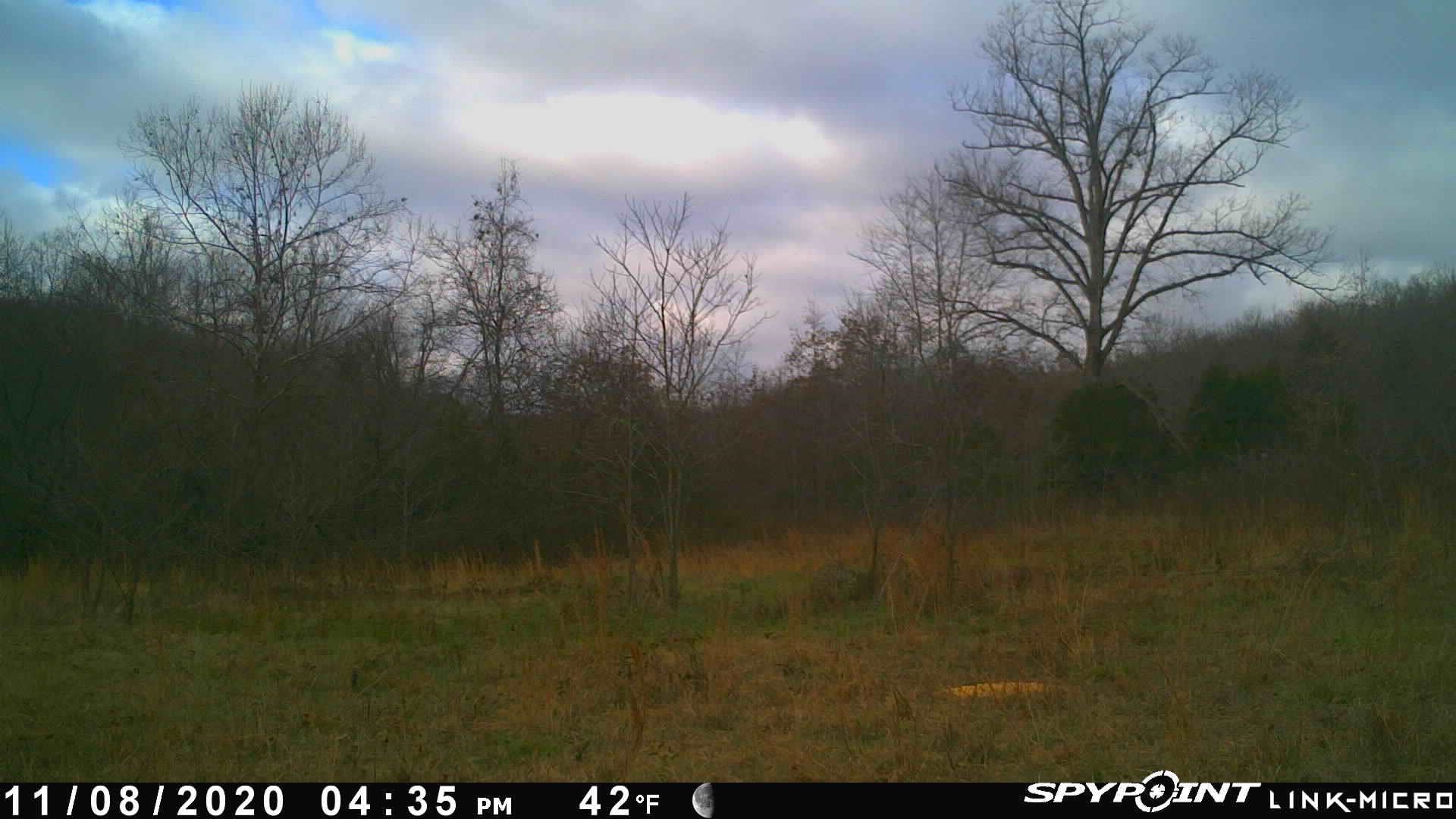 Photo 2 - Vacant Land for sale –   Martin Creek   Williford, AR