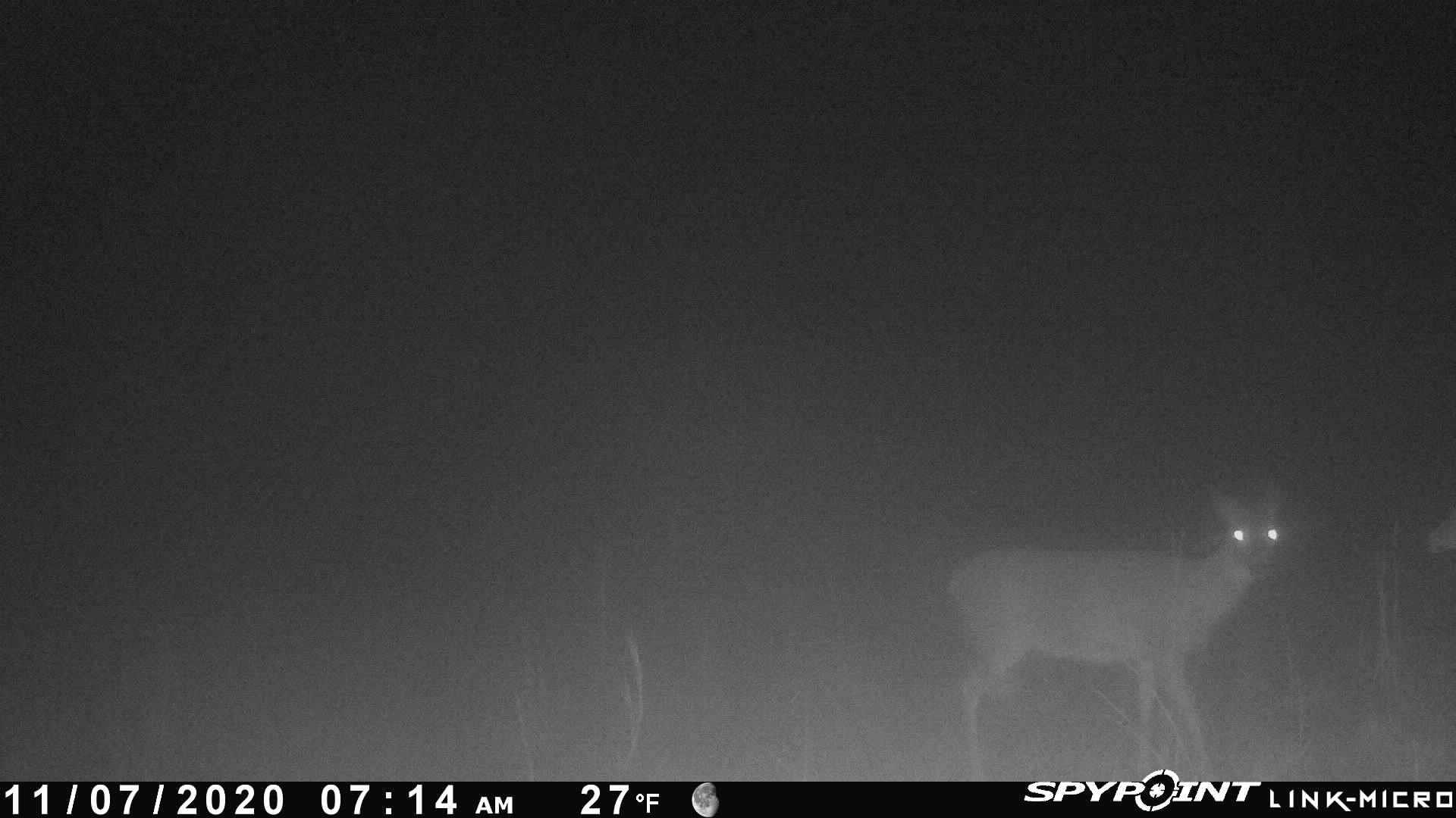 Photo 3 - Vacant Land for sale –   Martin Creek   Williford, AR