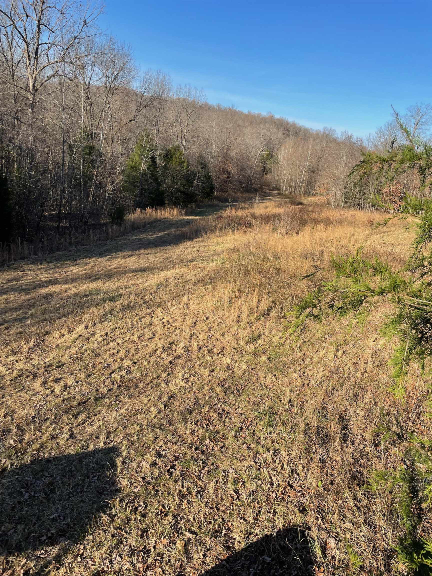 Photo 5 - Vacant Land for sale –   Martin Creek   Williford, AR