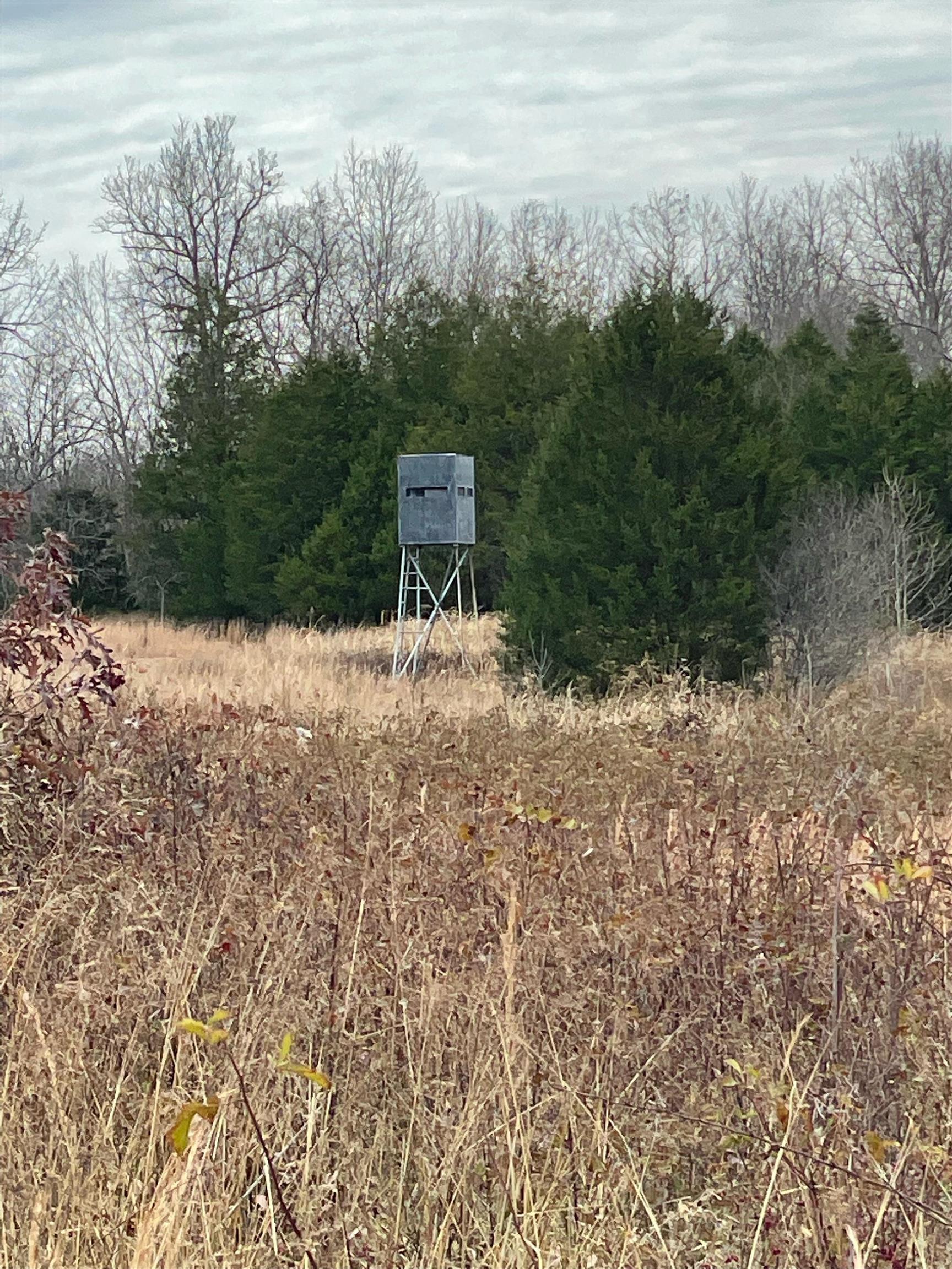 Photo 6 - Vacant Land for sale –   Martin Creek   Williford, AR