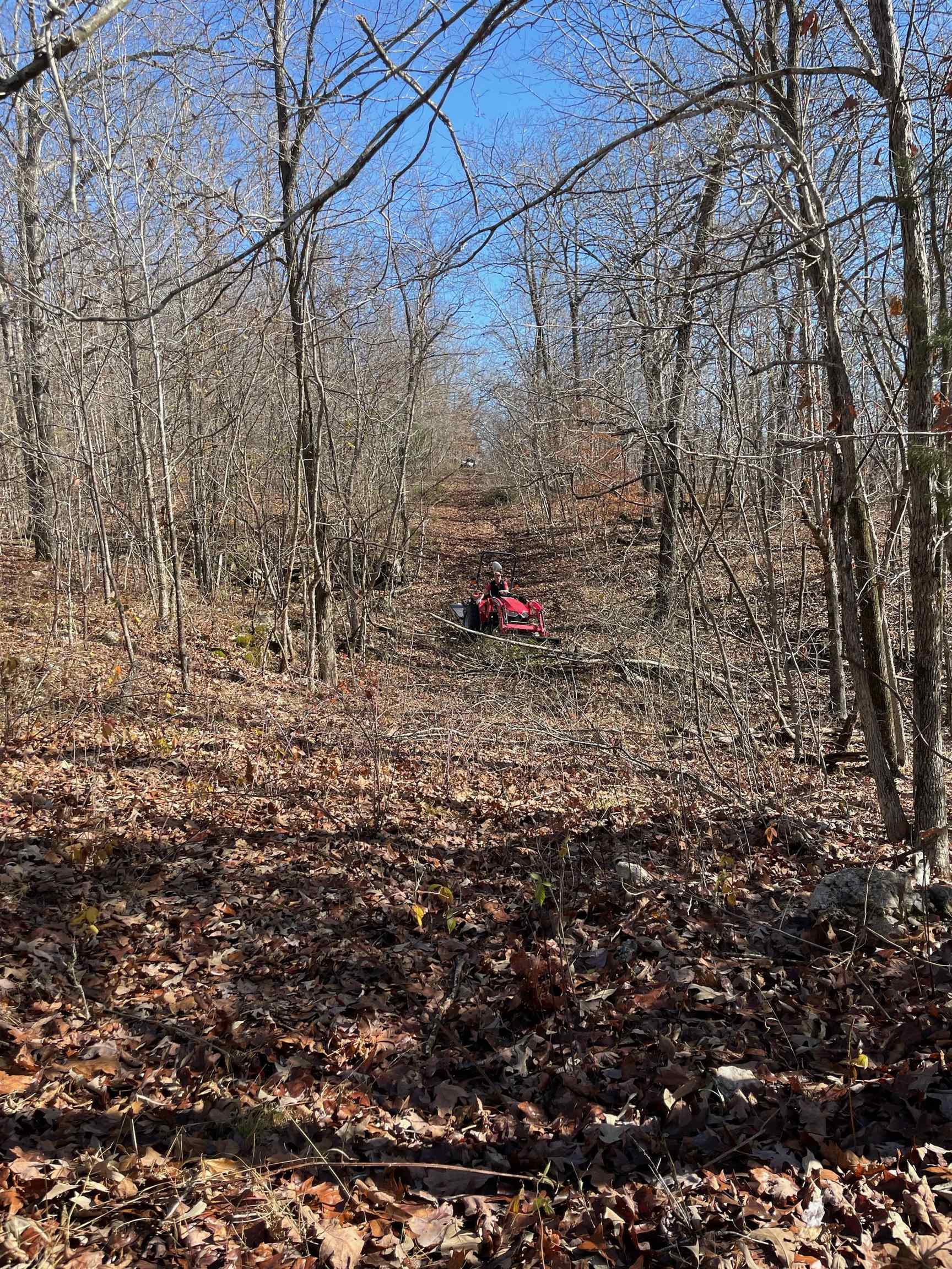 Photo 7 - Vacant Land for sale –   Martin Creek   Williford, AR