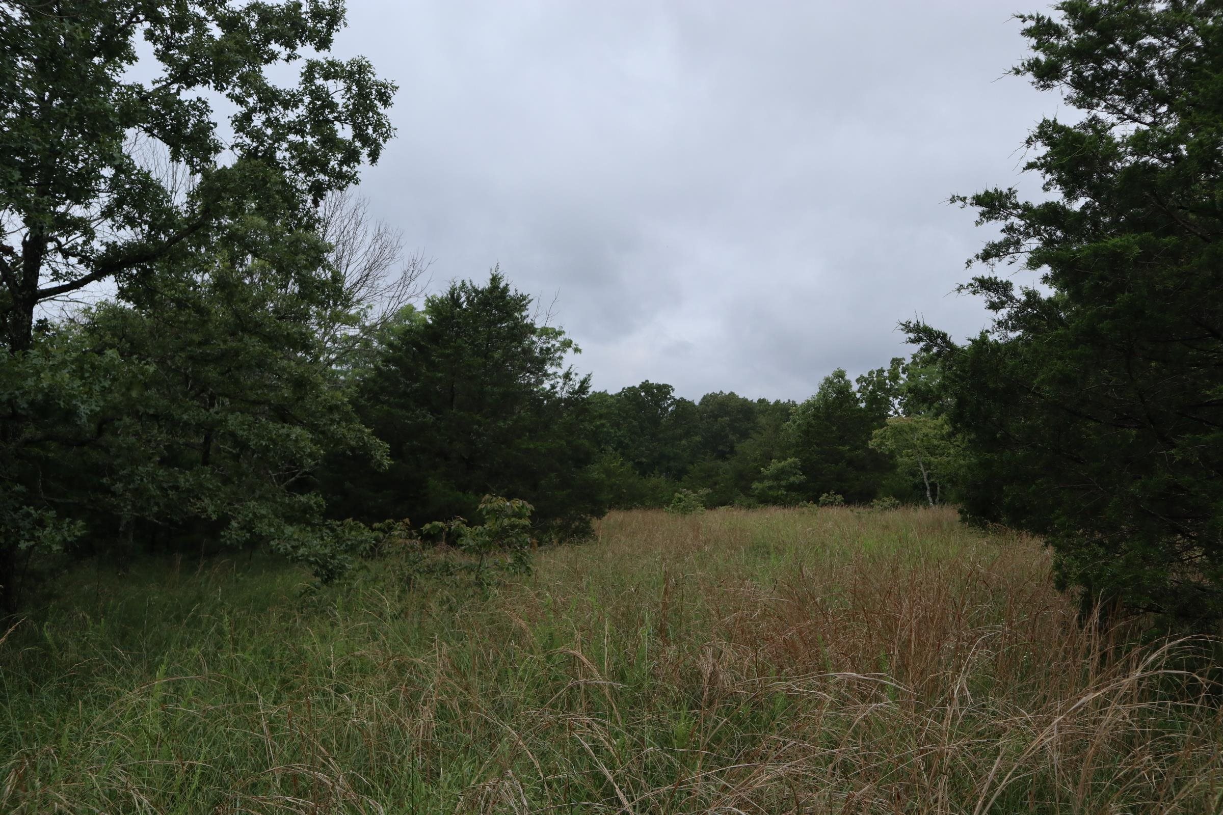 Photo 12 - Vacant Land for sale – TBD  Hwy 9 S   Salem, AR