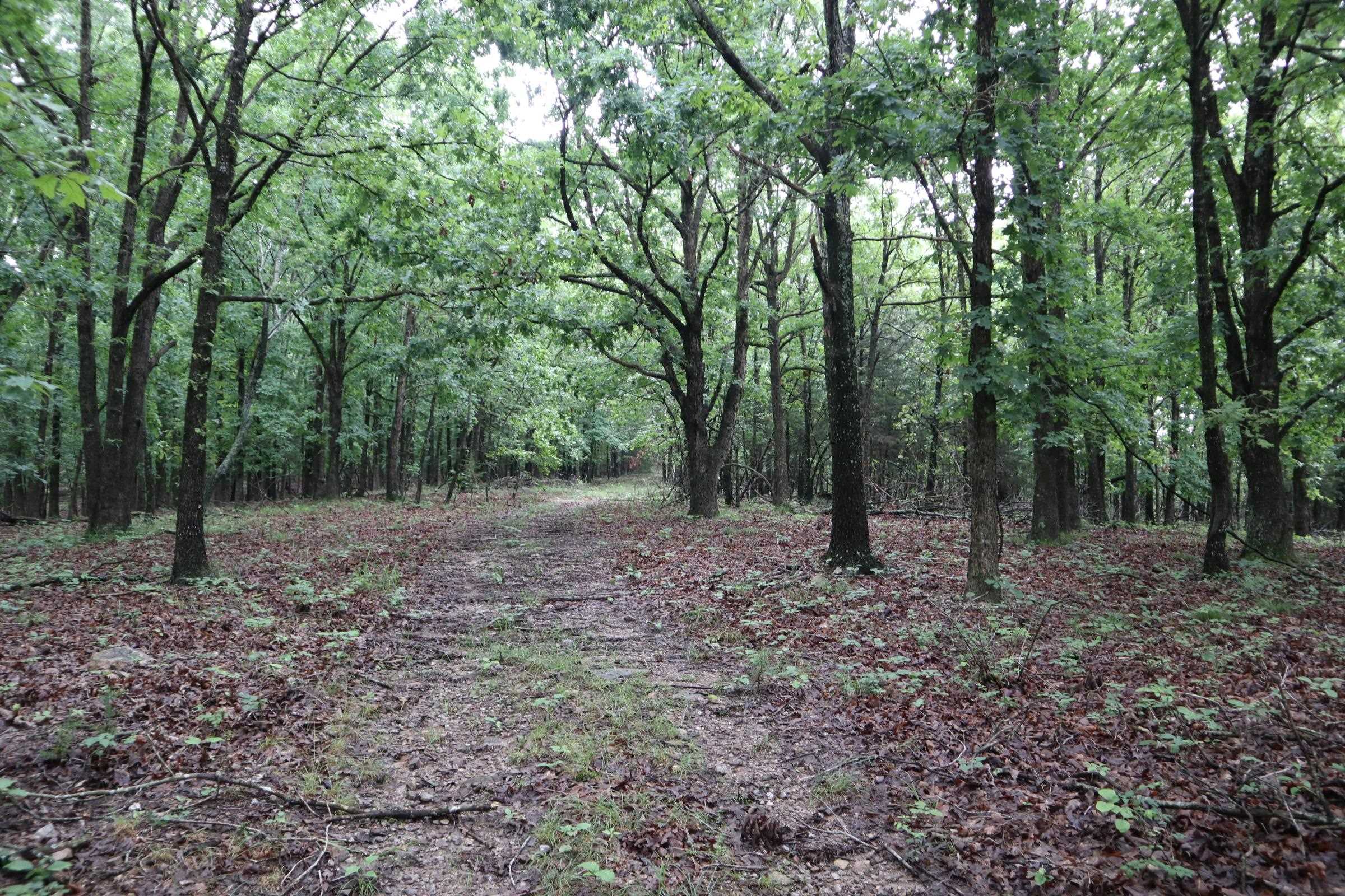 Photo 14 - Vacant Land for sale – TBD  Hwy 9 S   Salem, AR