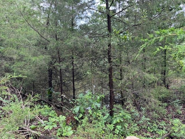 Photo 20 - Vacant Land for sale – TBD  Hwy 9 S   Salem, AR