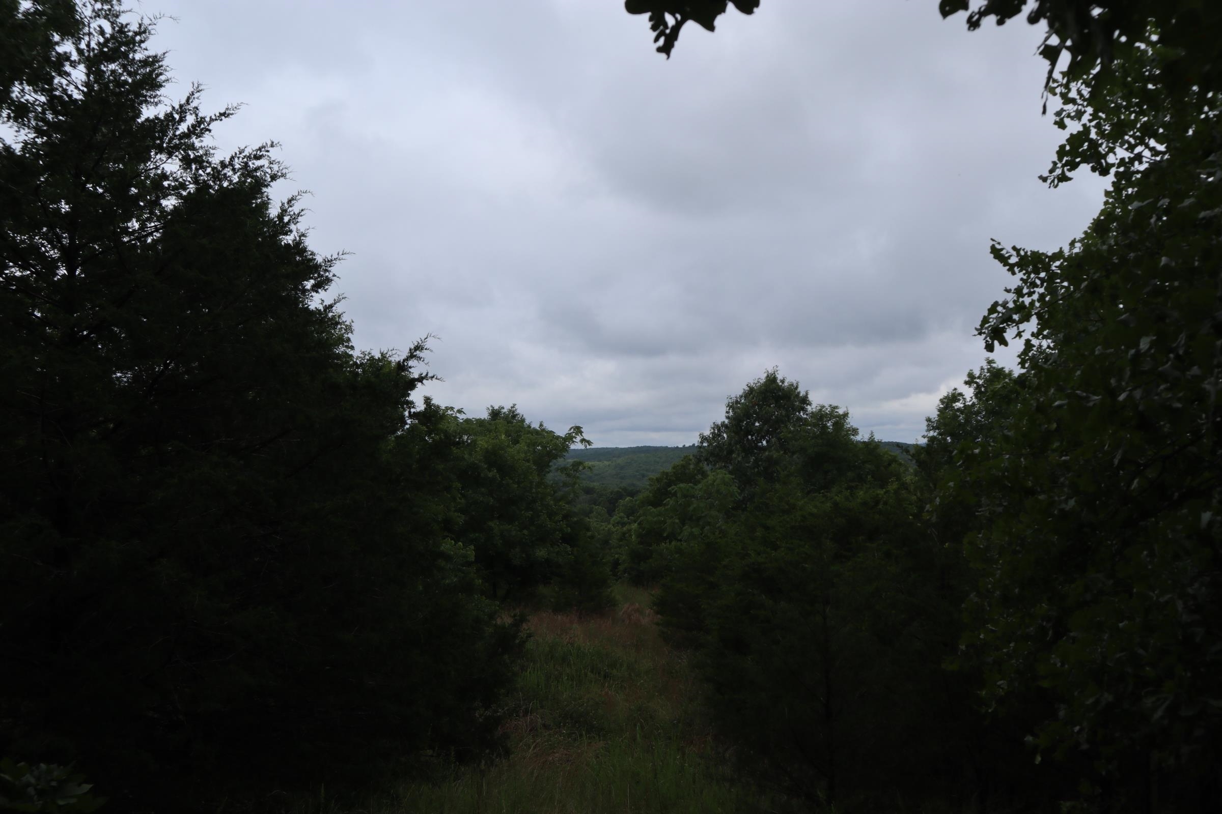 Photo 22 - Vacant Land for sale – TBD  Hwy 9 S   Salem, AR