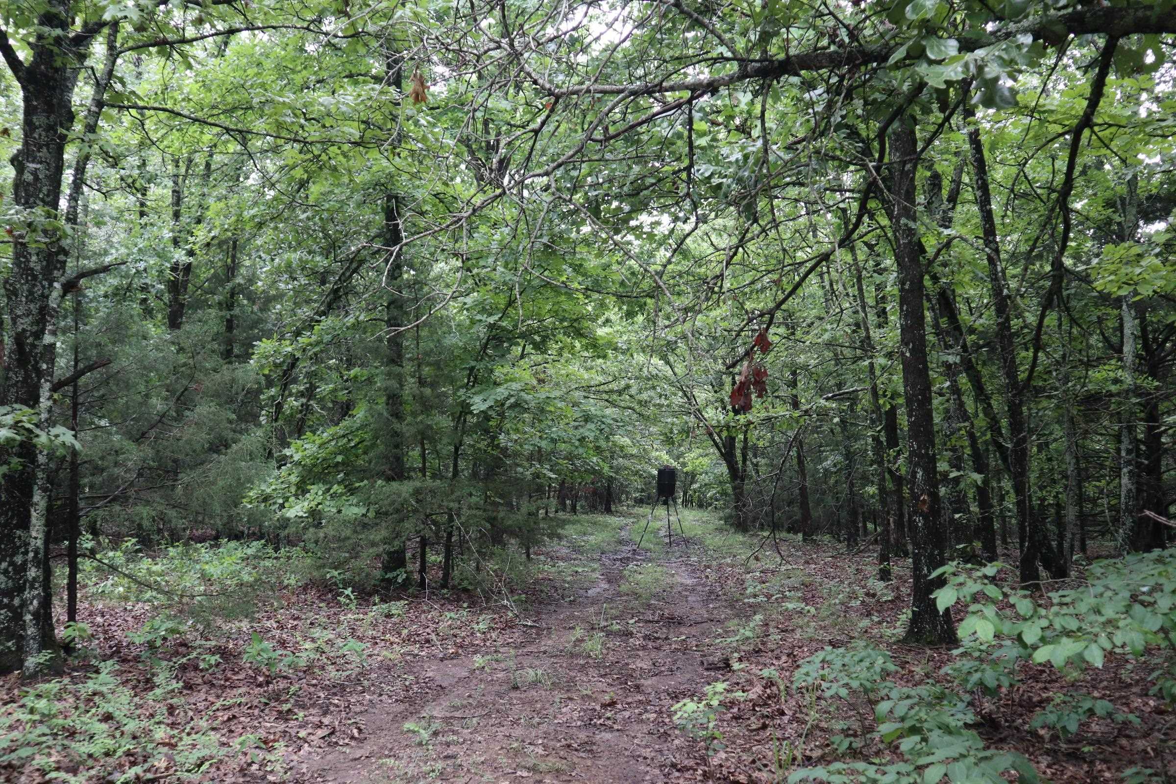 Photo 23 - Vacant Land for sale – TBD  Hwy 9 S   Salem, AR