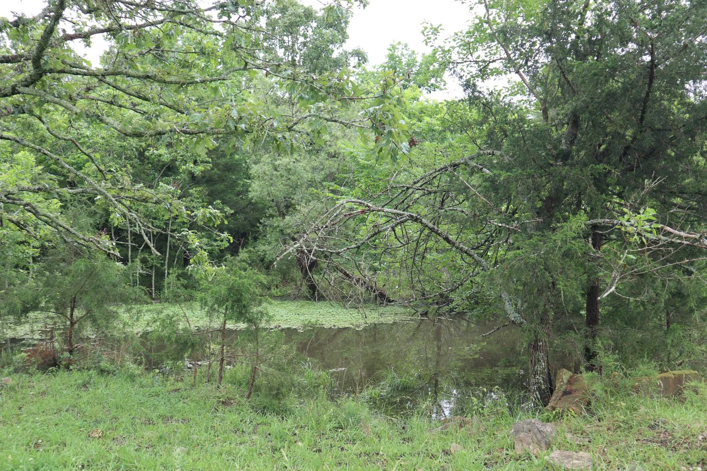 Photo 26 - Vacant Land for sale – TBD  Hwy 9 S   Salem, AR